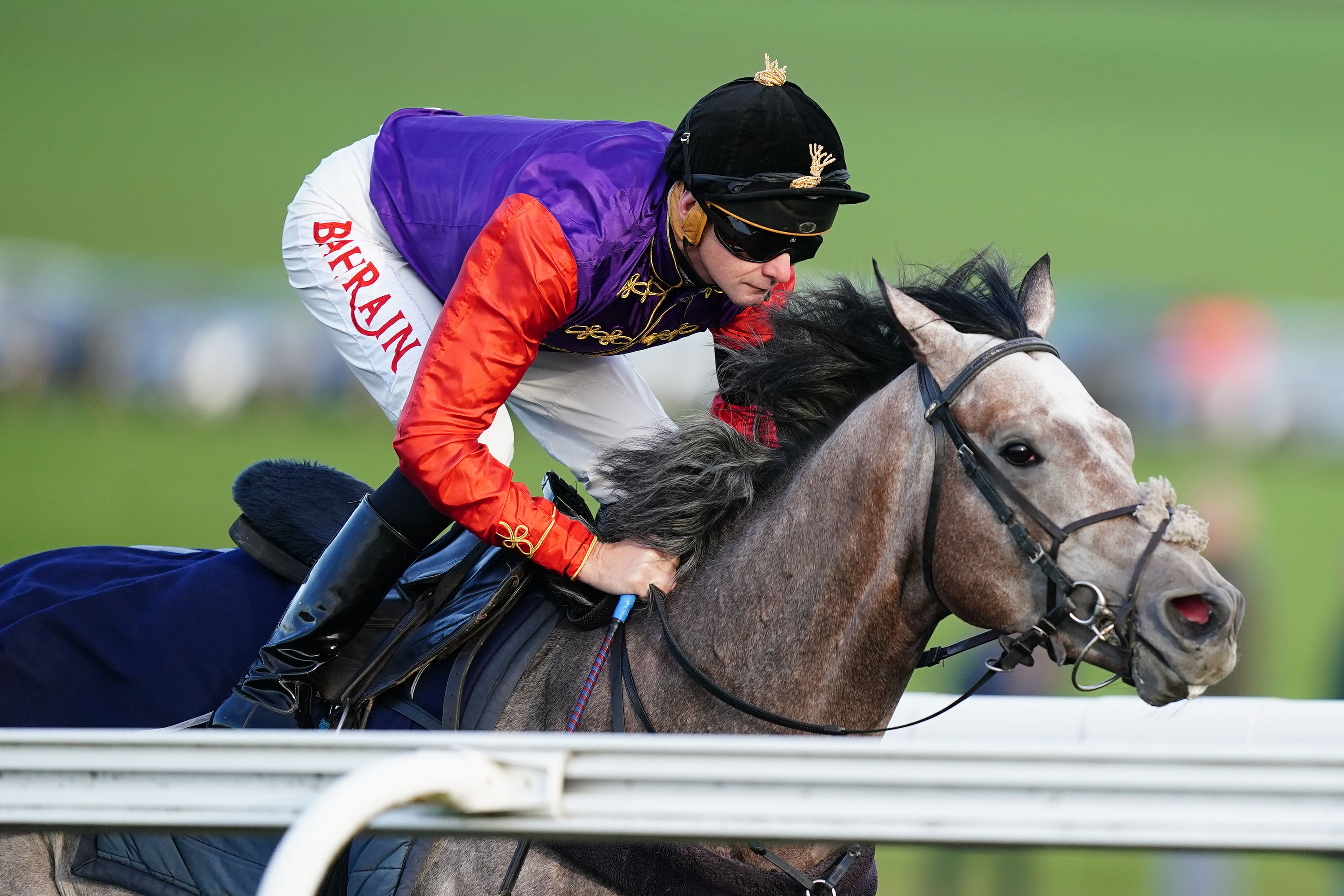 Saga was narrowly beaten at Newmarket (Mike Egerton/PA)