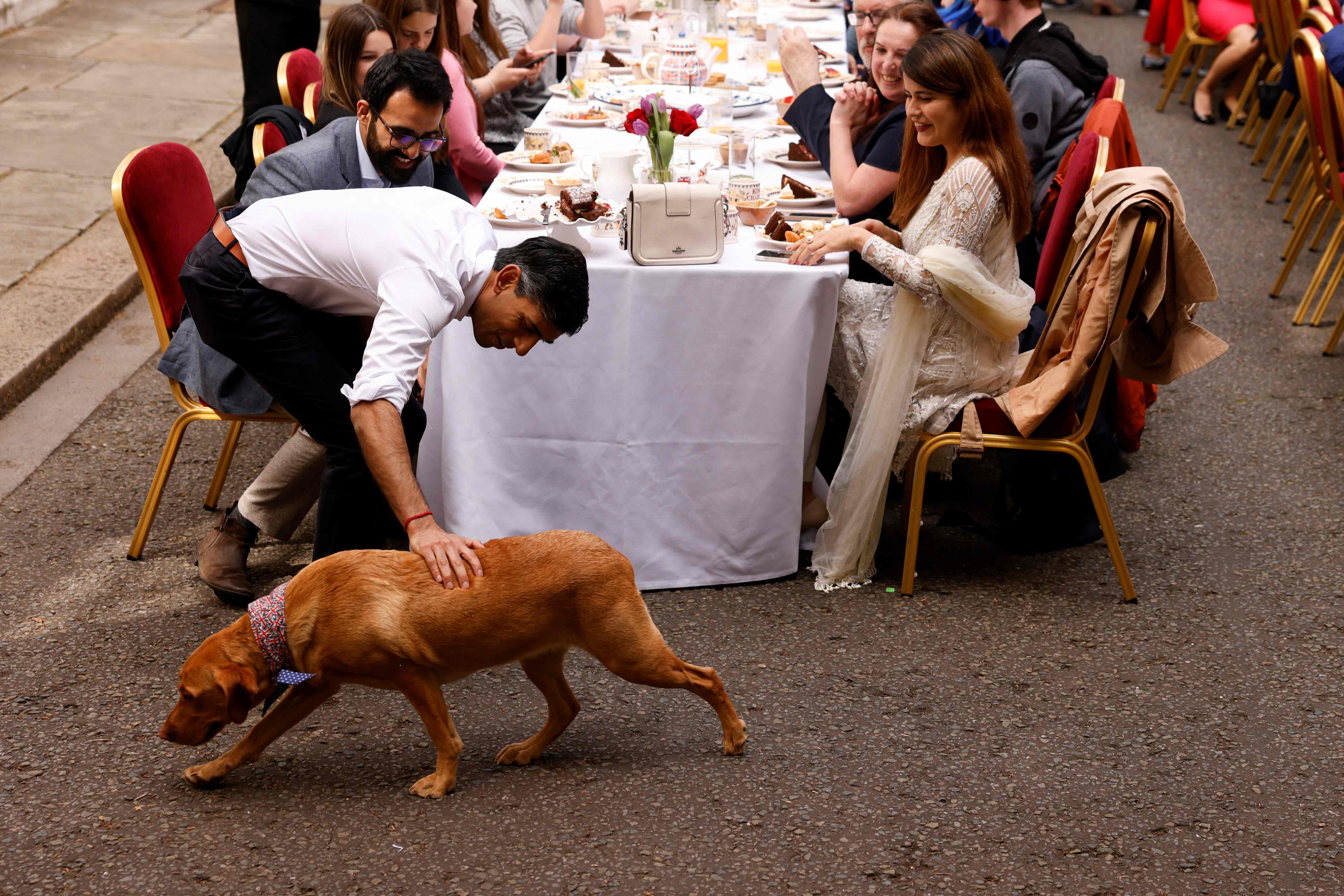 Rishi Sunak pets his dog, Nova, as he welcomes guests to No 10