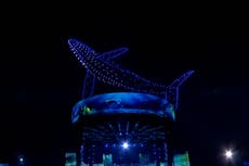 Whales, owls and tigers: Drone show lights up sky above coronation concert