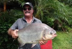 Remains of missing pub landlord discovered inside two crocodiles