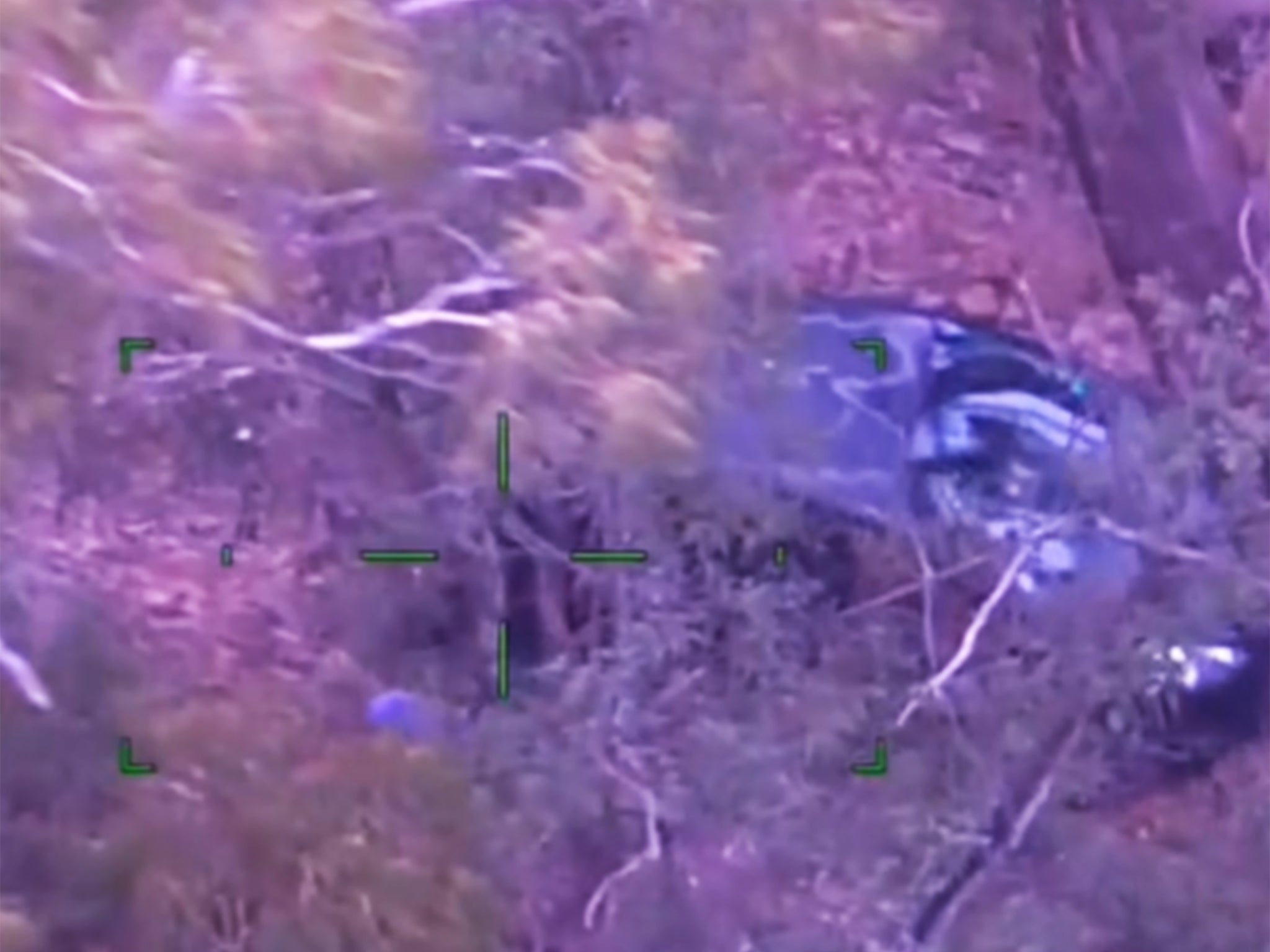 Officers could see her car through the trees