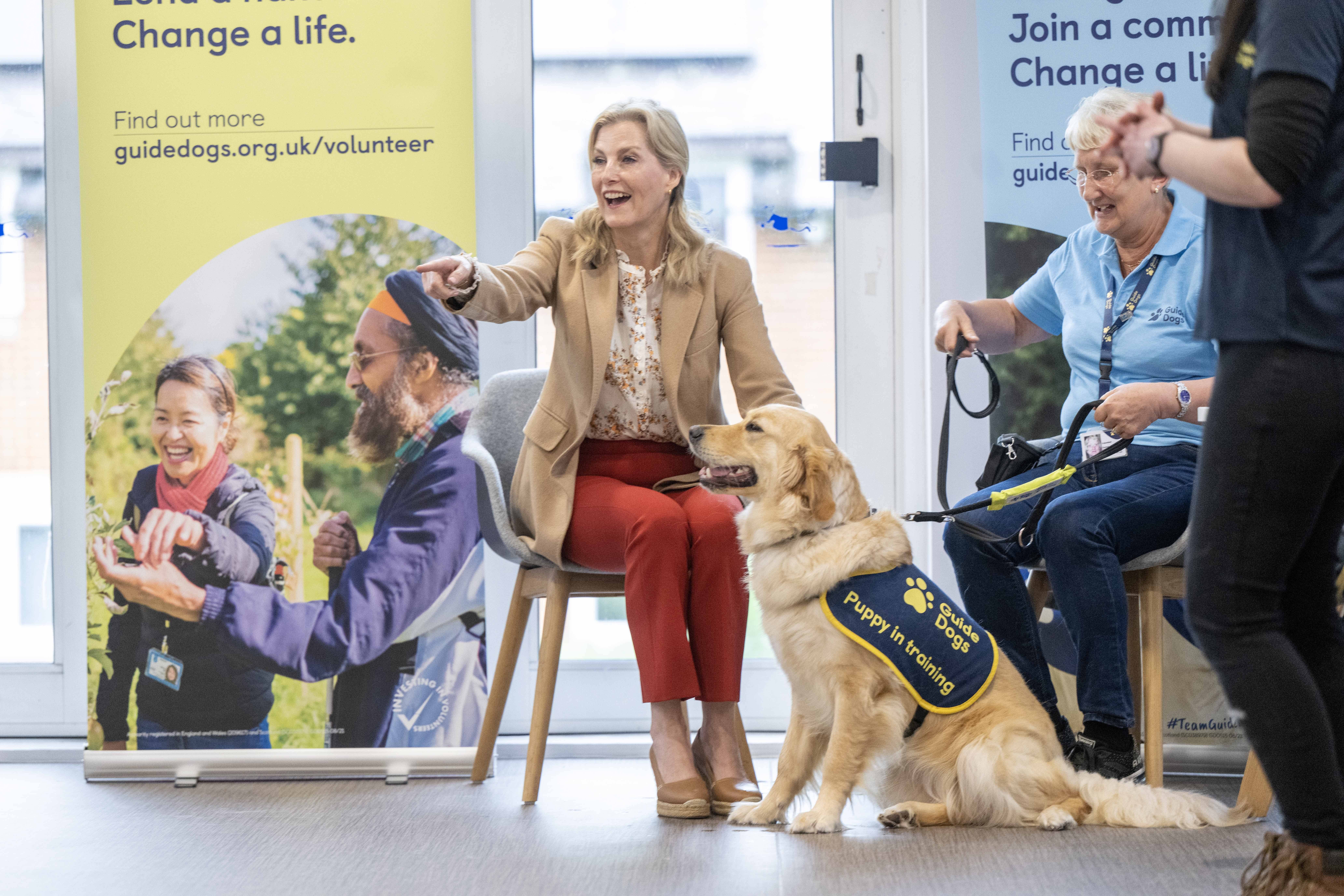 The Duchess of Edinburgh takes part in a puppy class at the Guide Dogs for the Blind Association Training Centre in Reading (Paul Grover/Daily Telegraph/PA)