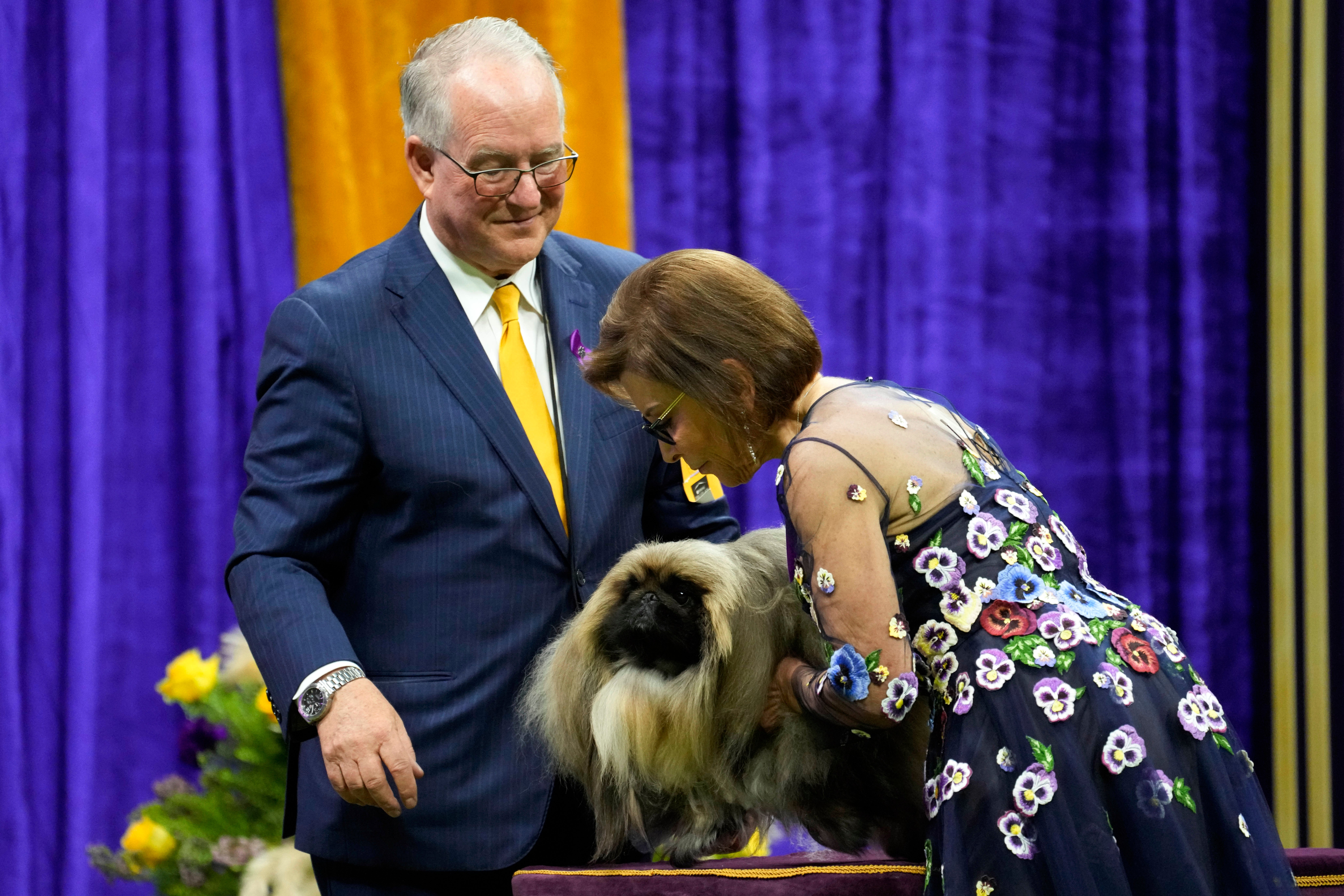 Westminster Dog Show