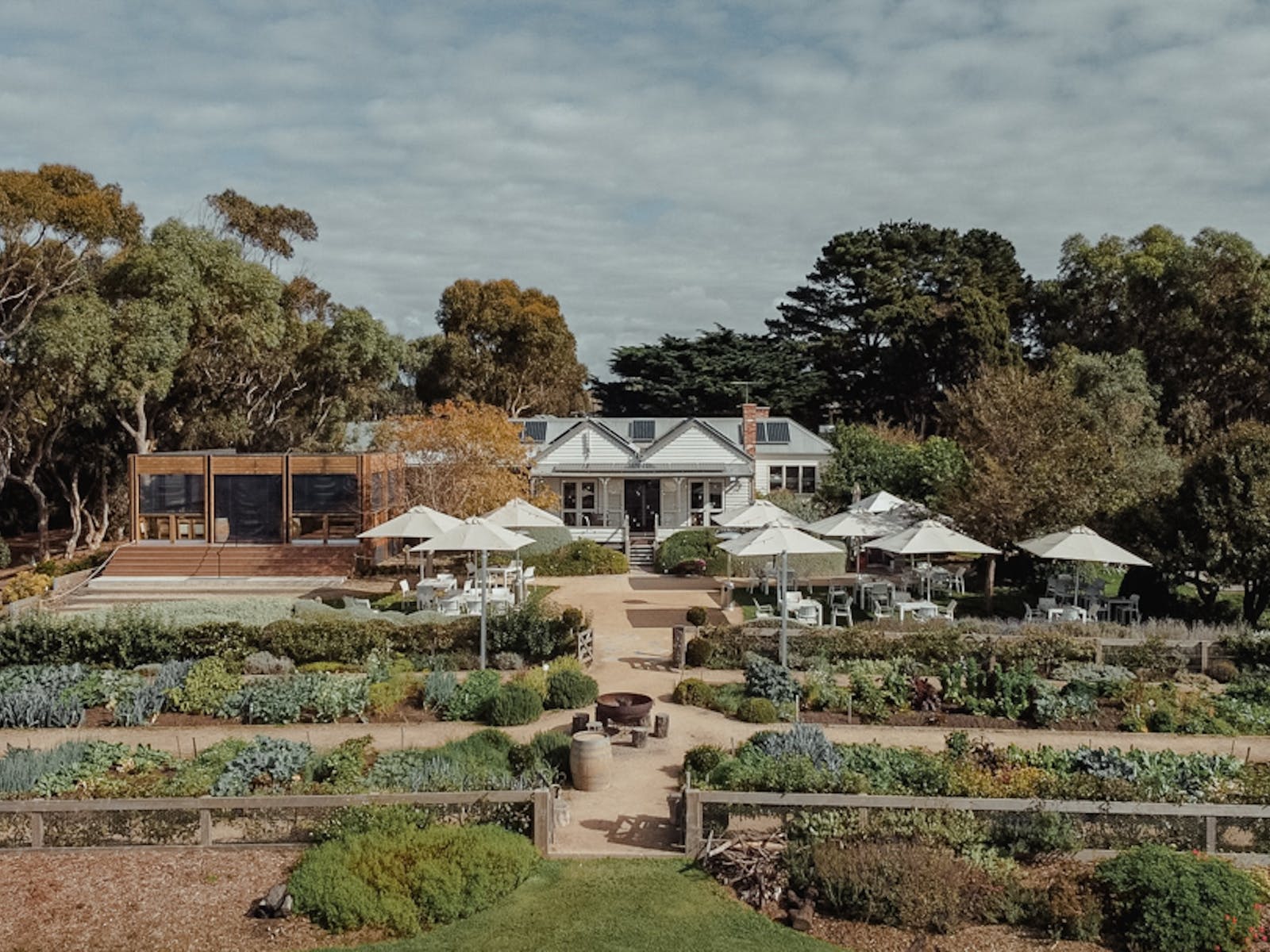 Delight in the freshly harvested seasonal menu at Basils Farm at Swan Bay’s stunning vineyard