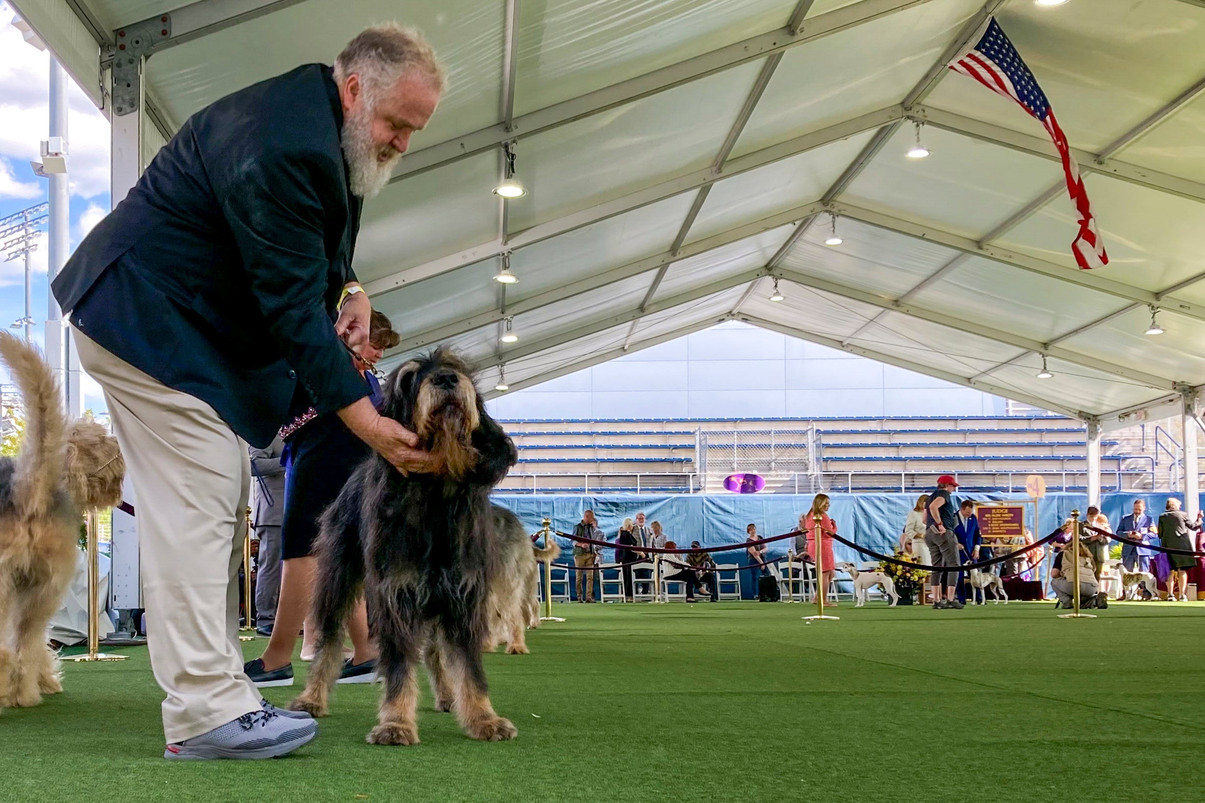 CORRECTION Westminster Dog Show