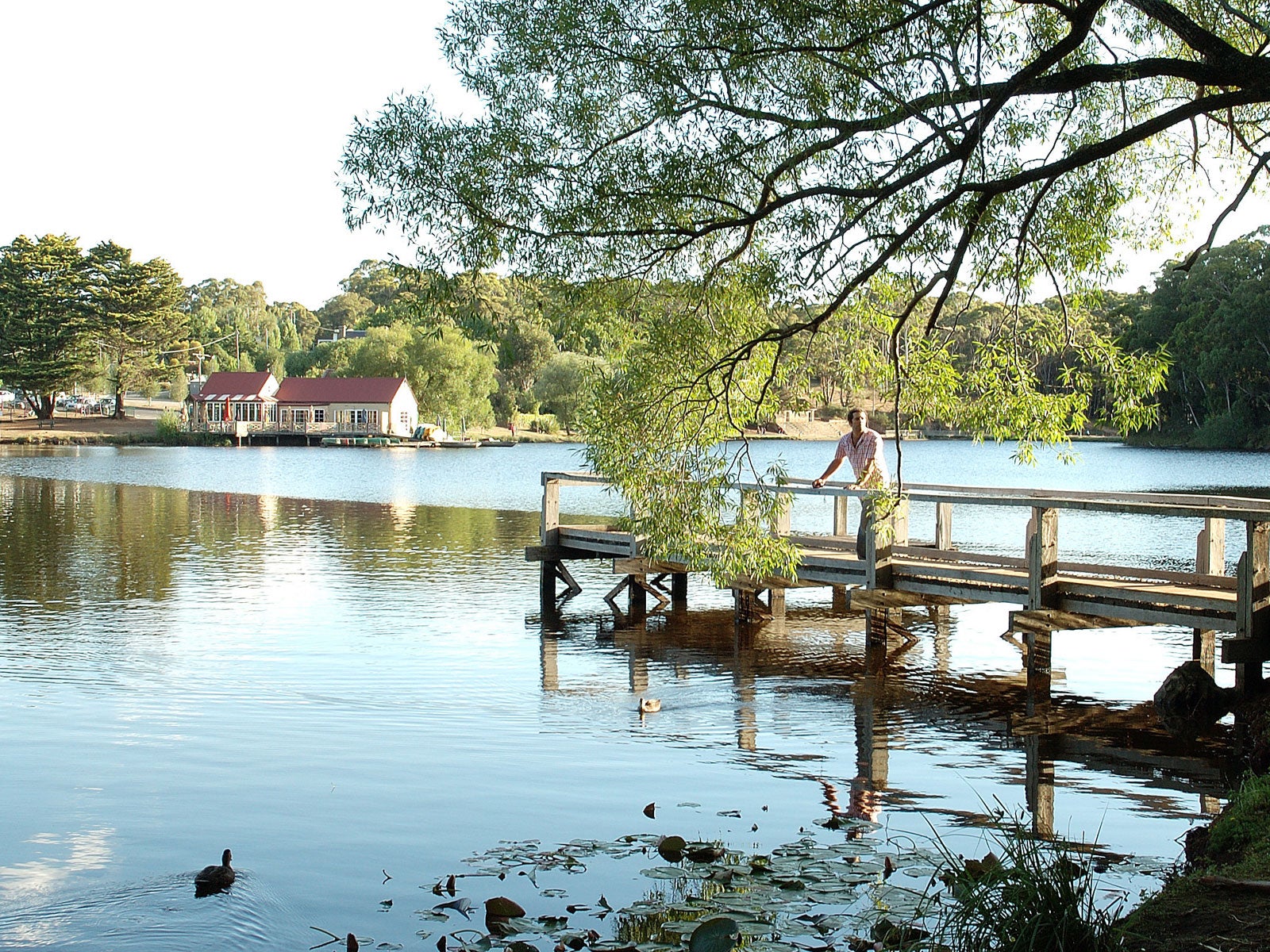 Sit back and let aching muscles melt at the natural Hepburn Springs in Daylesford