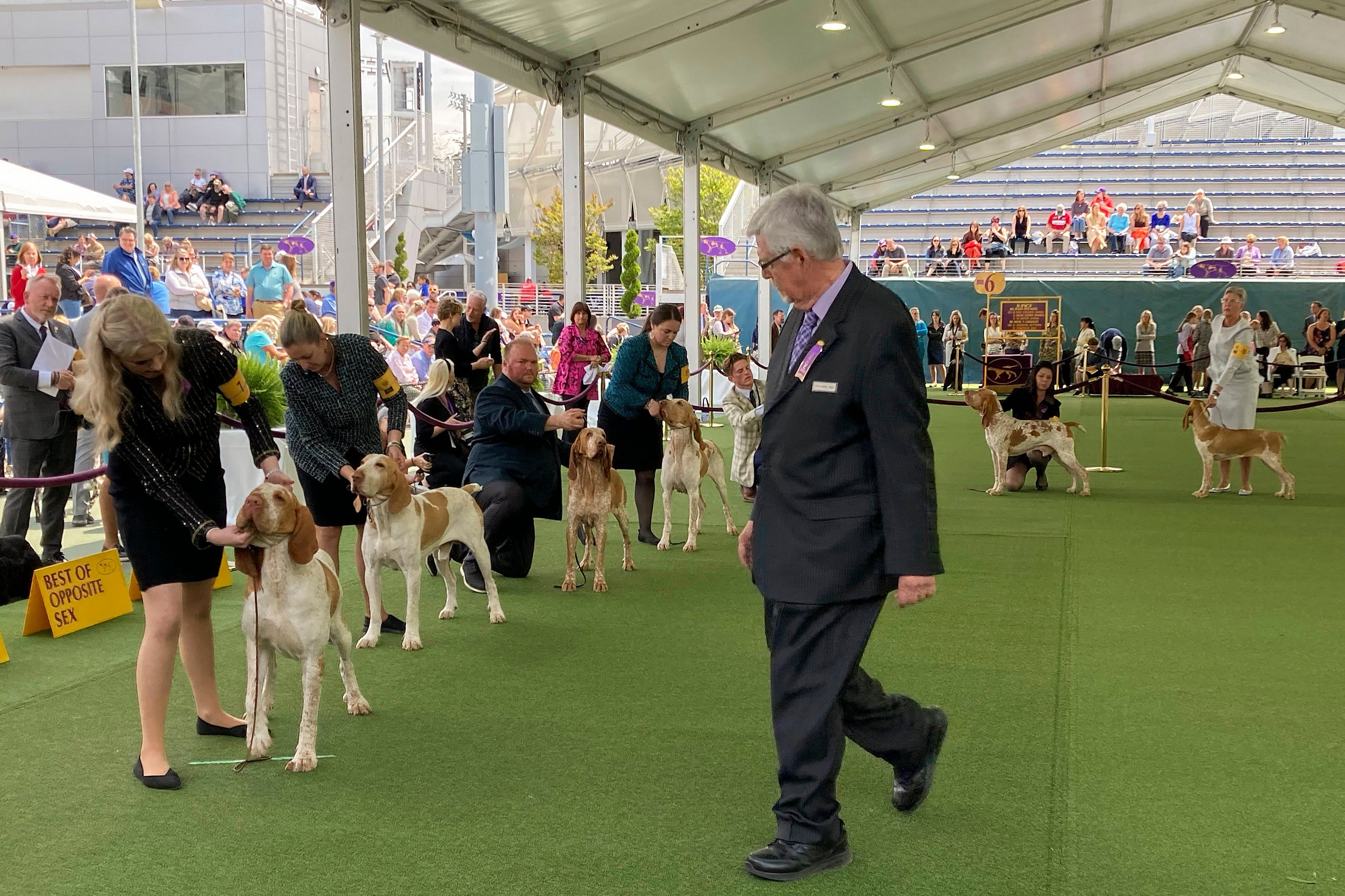 Westminster Dog Show