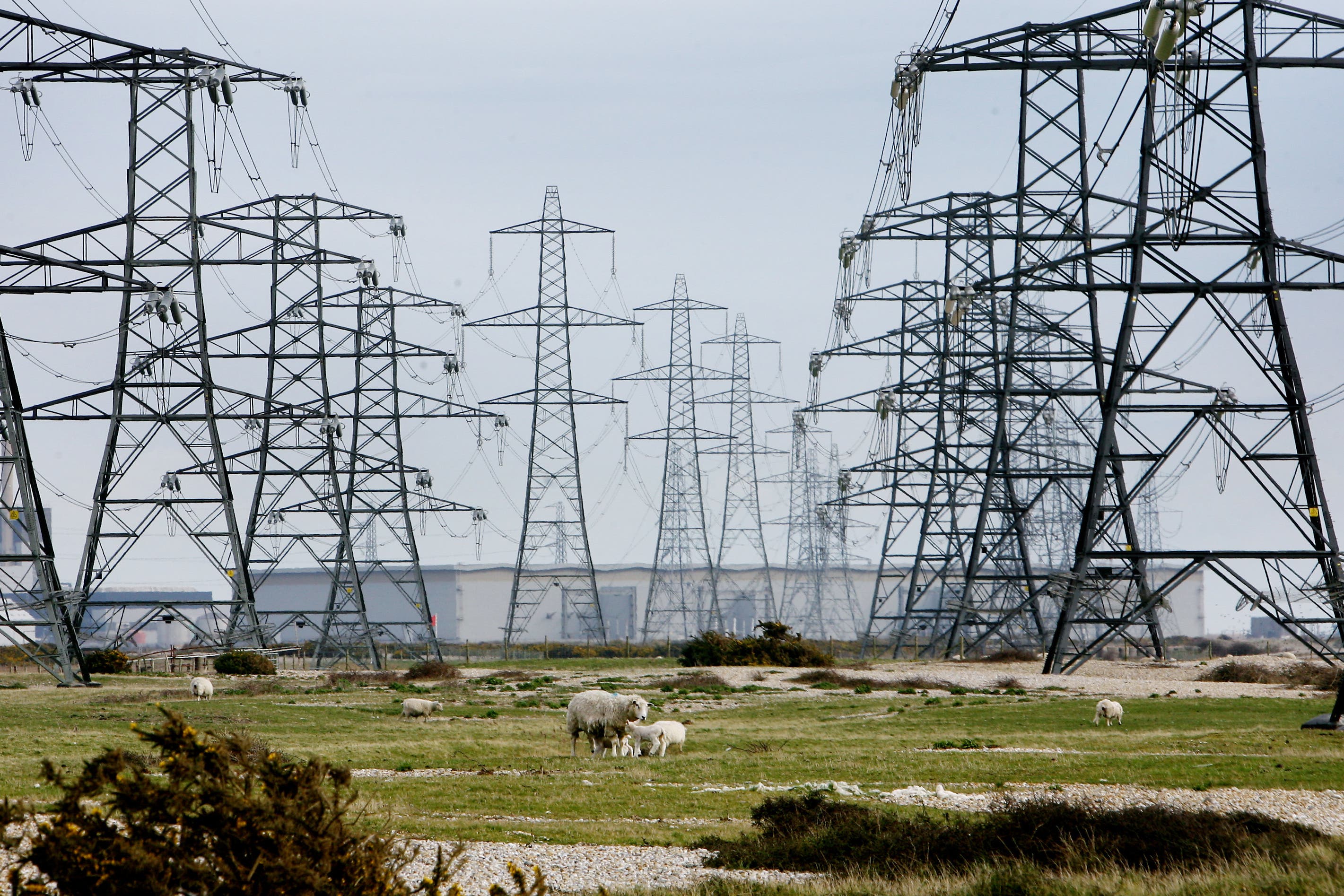 The Energy Bill seeks to unlock investment in low-carbon energy technologies, increase resilience and produce more energy in the UK (PA)