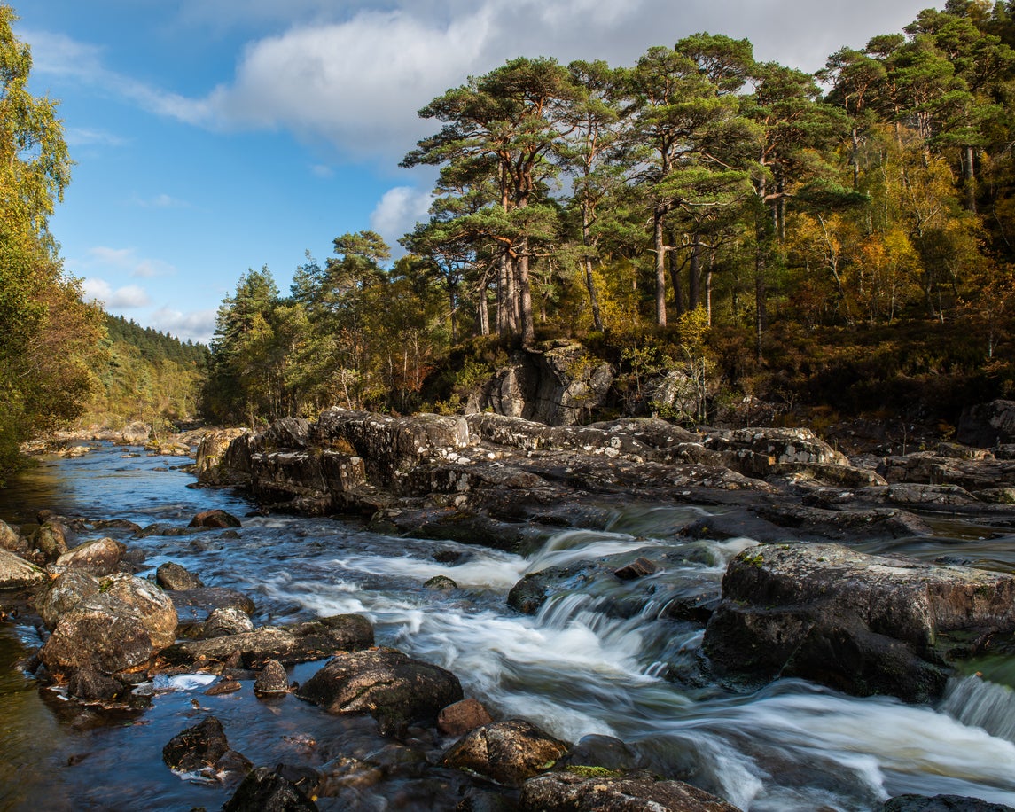 Part of Glen Affric, a valley near Loch Ness