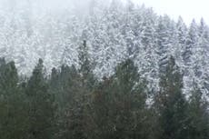 ‘Swastika Mountain’ in Oregon gets a new name