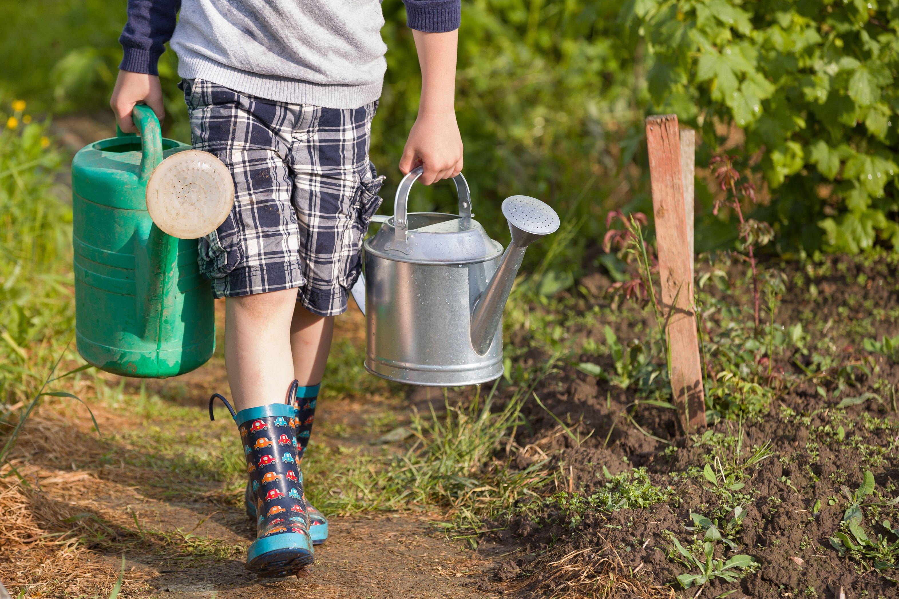 Encourage your children to grow their own (Alamy/PA)