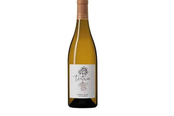 Moulin de Gassac tèrra blanc 2020
