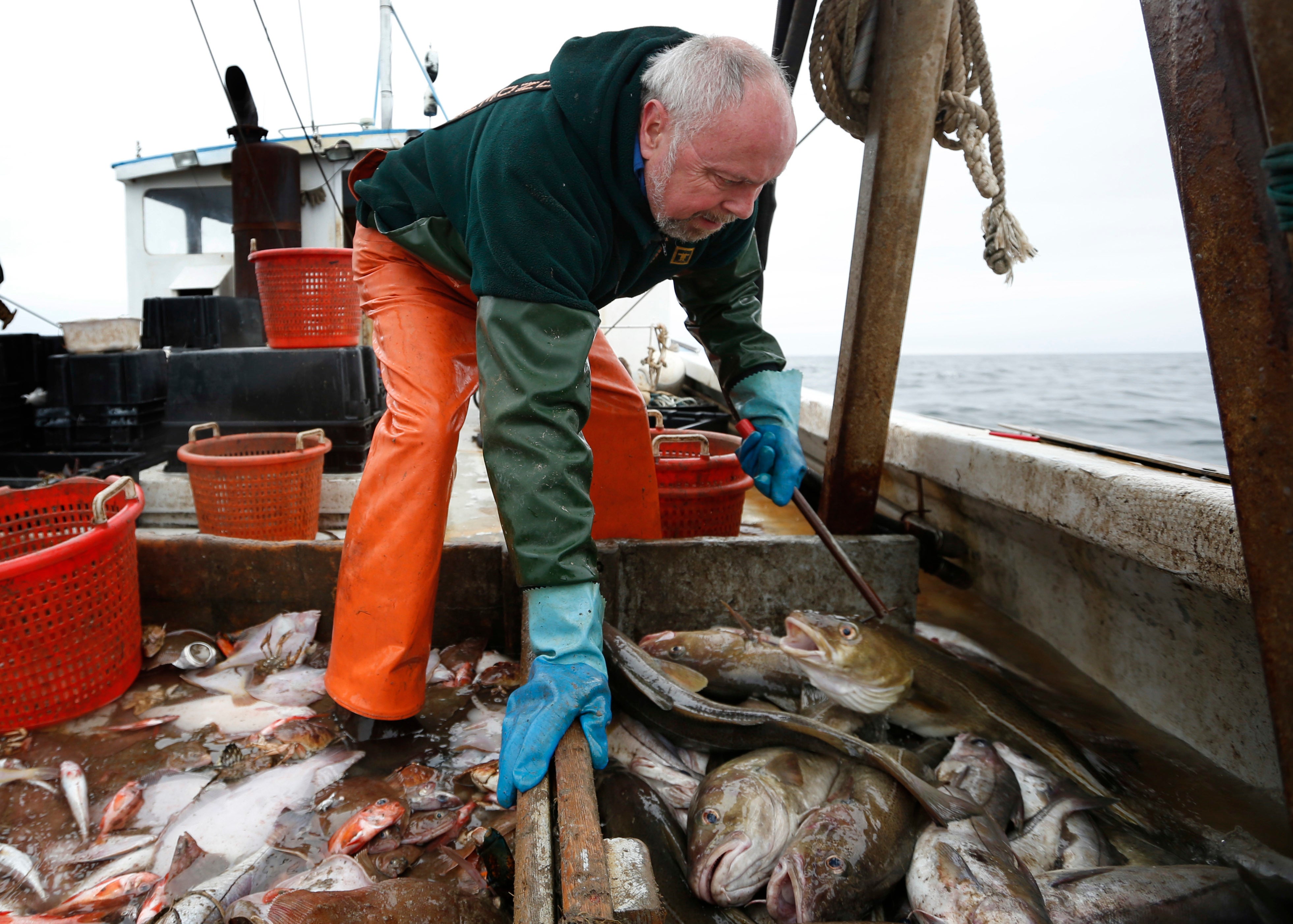 Haddock Overfishing