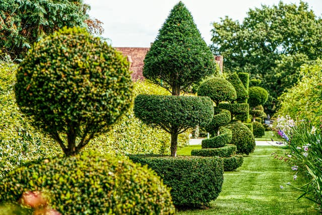 <p>Garden topiary is a skill - but here are some tips on how to get started</p>