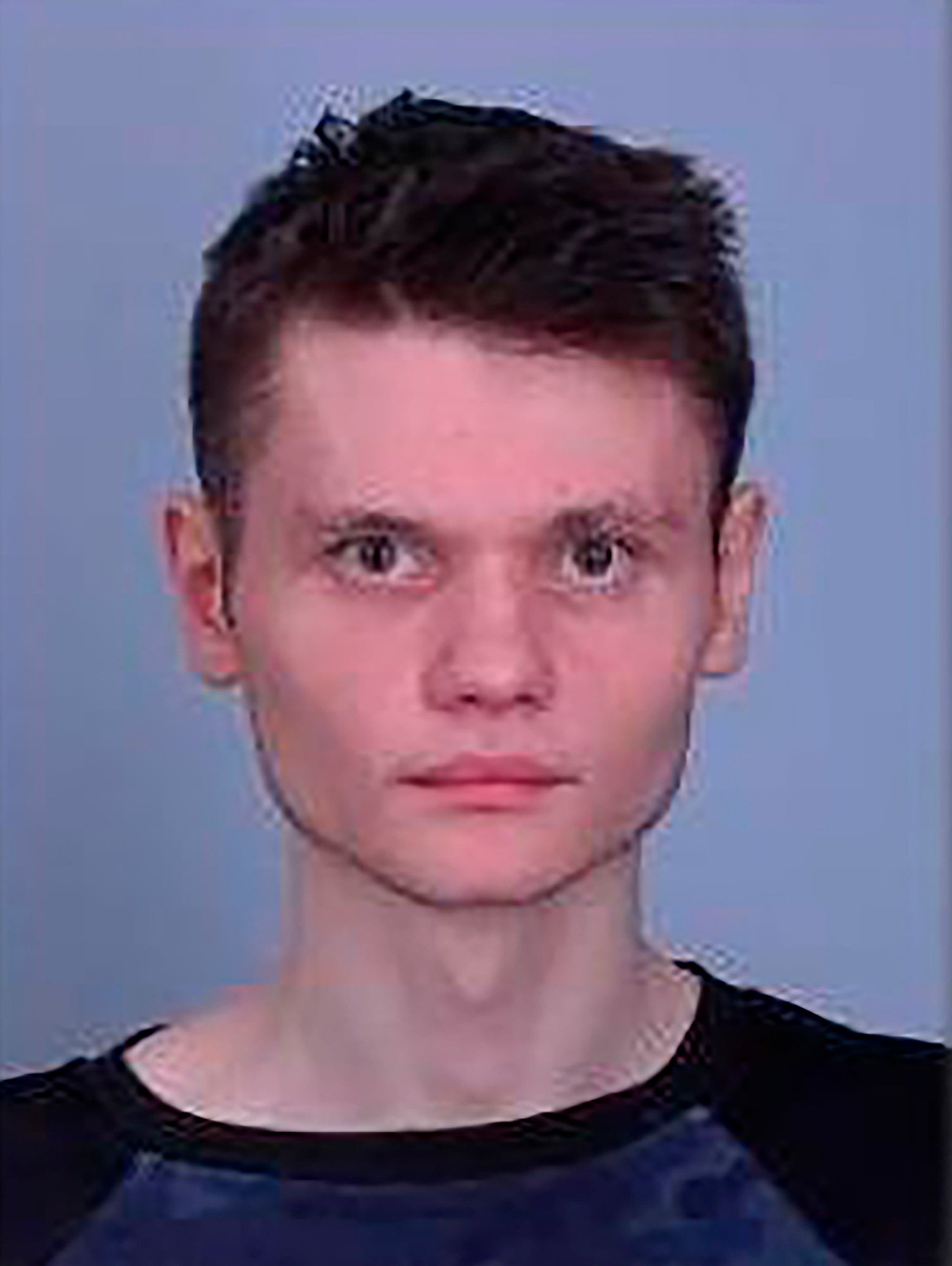 Violent Plot Minnesota