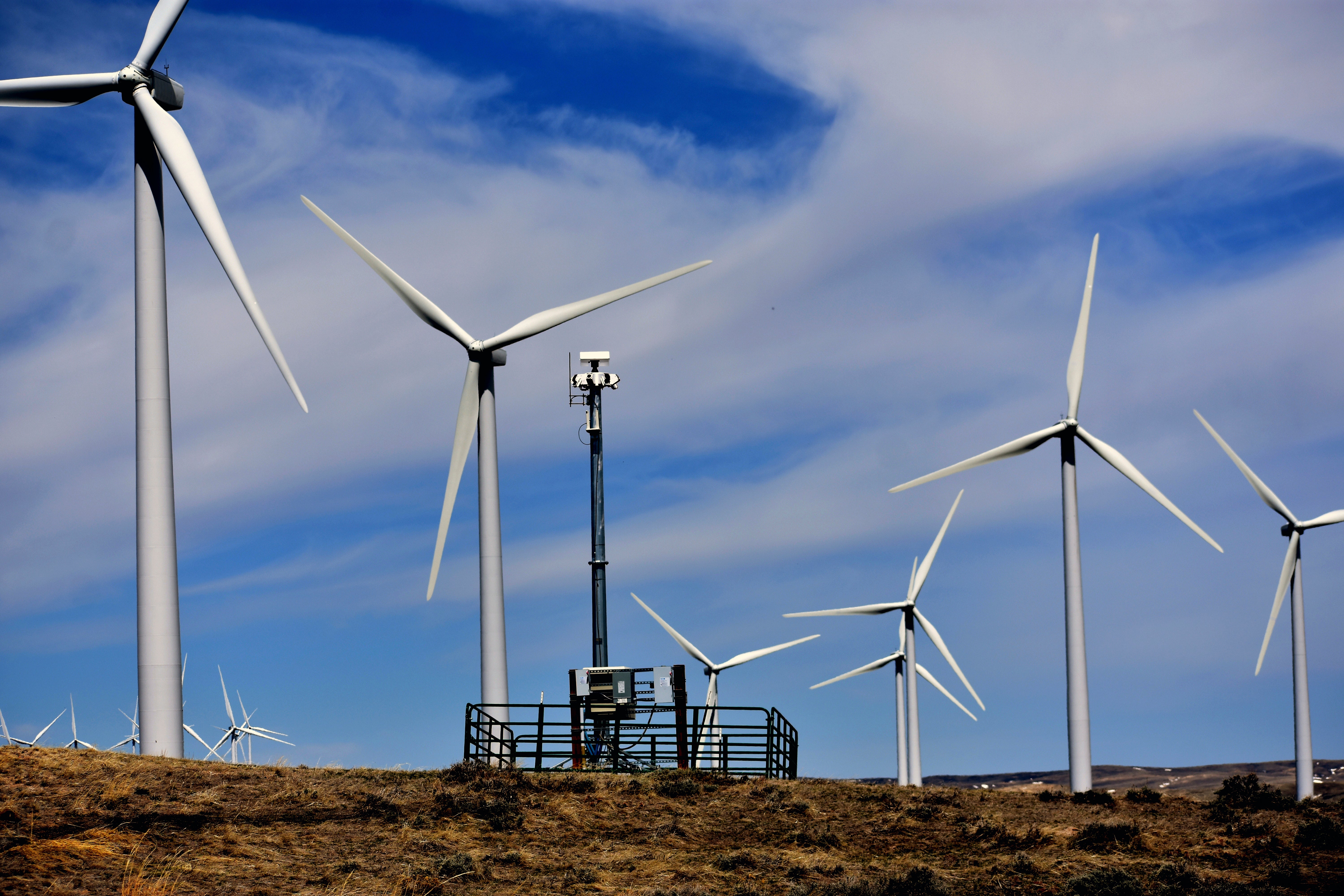 Dead Eagles Violations