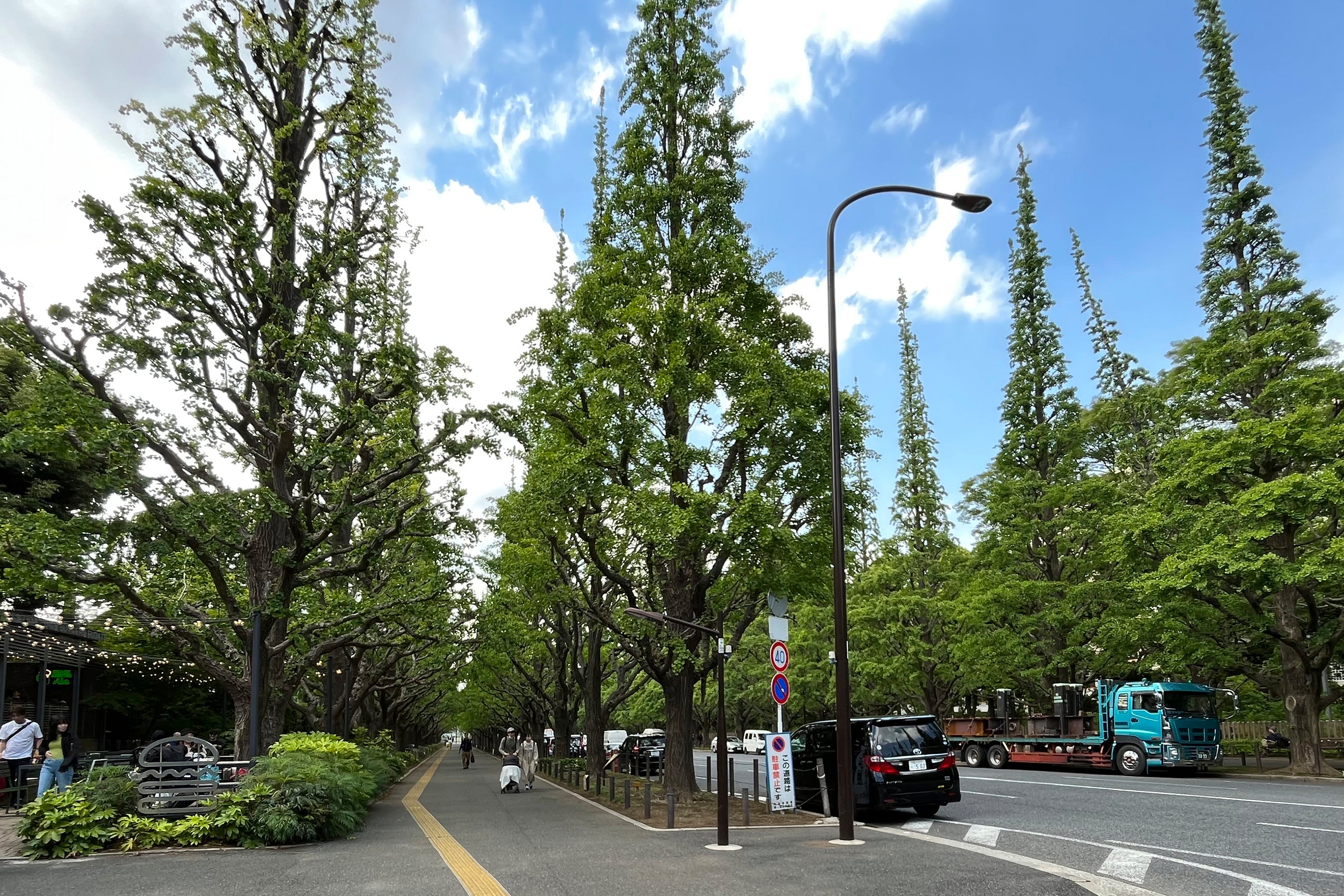 Japan Stadium Dispute