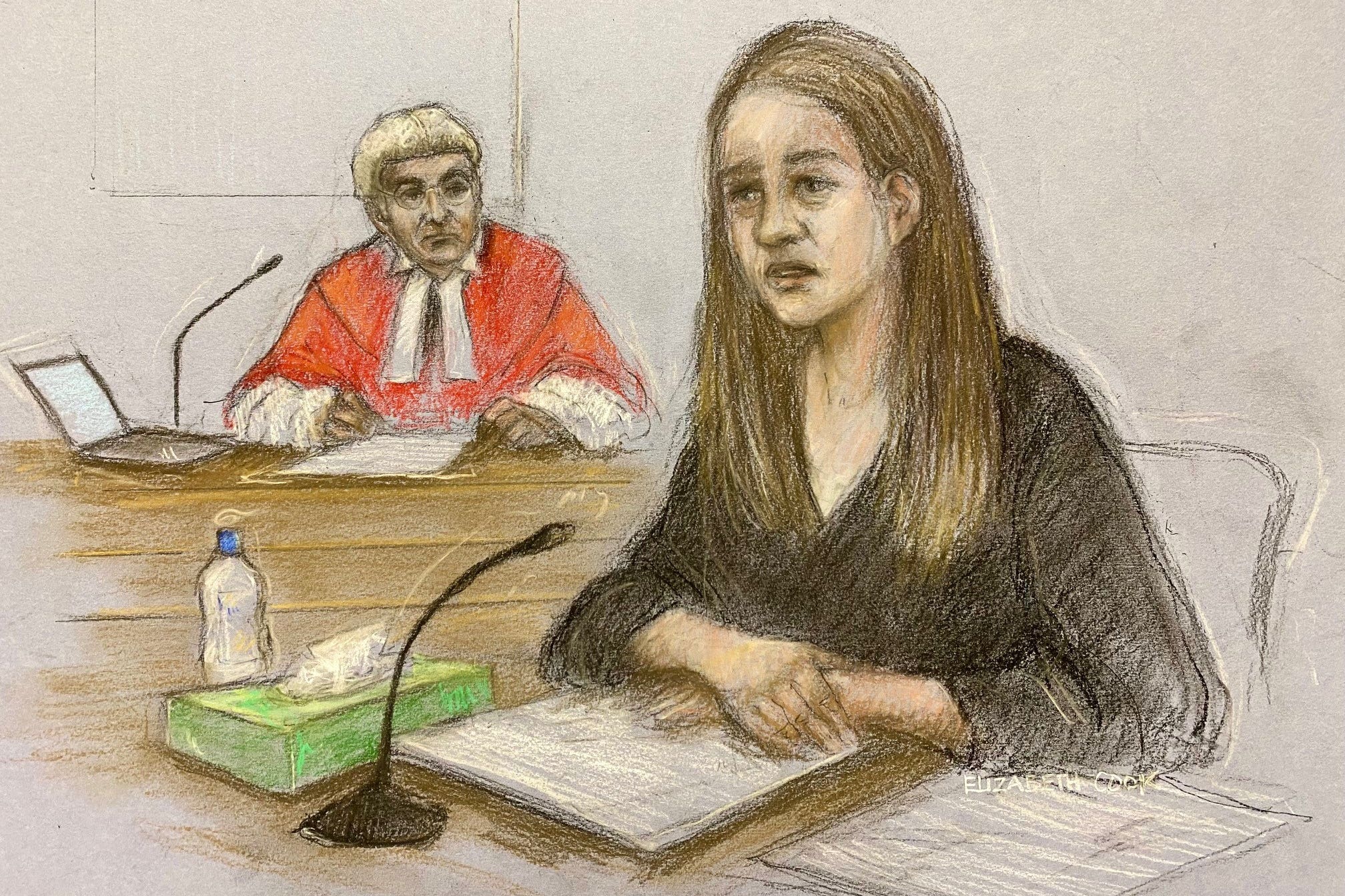 There were suggestions throughout the trial at Manchester Crown Court that Letby derived a sickening pleasure from her attacks