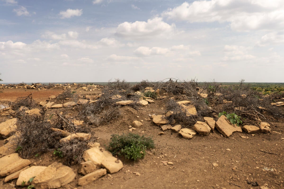 A graveyard in Baidoa, with estimations one person is likely to die every 28 seconds as a result of malnutrition in Ethiopia, Somalia, Kenya and South Sudan