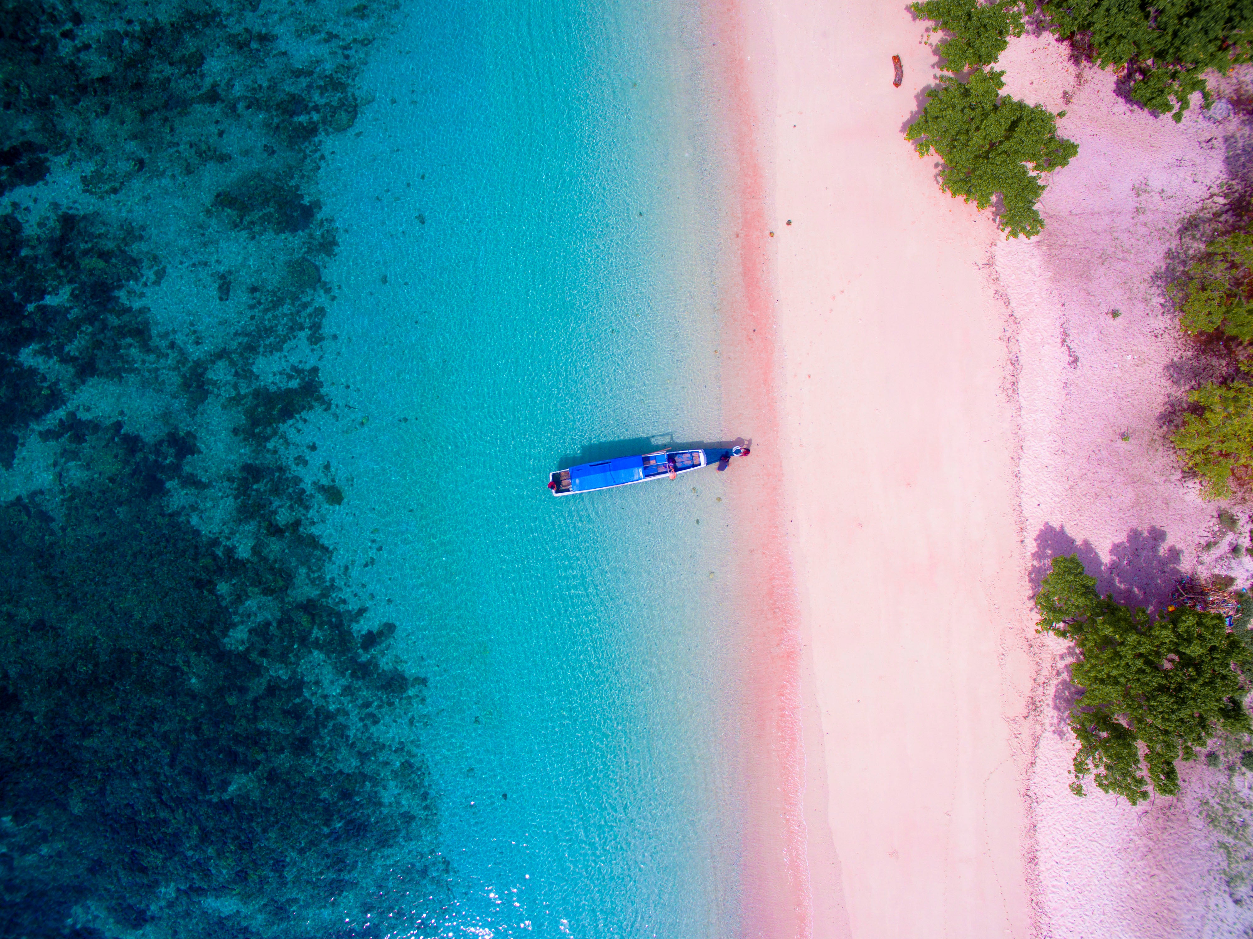 The pale pink sands on Komodo Island made the list