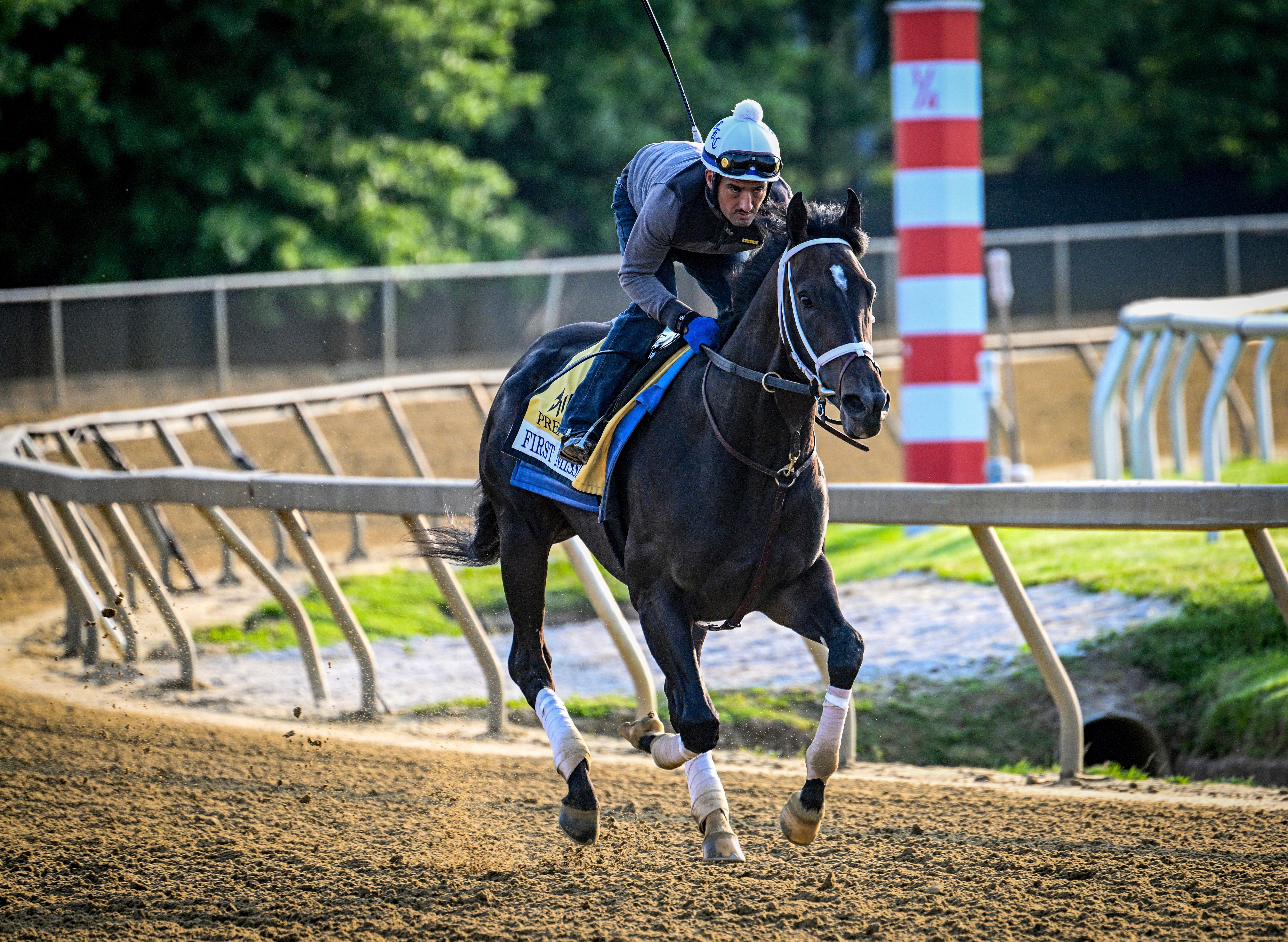 Preakness Stakes Horse Racing