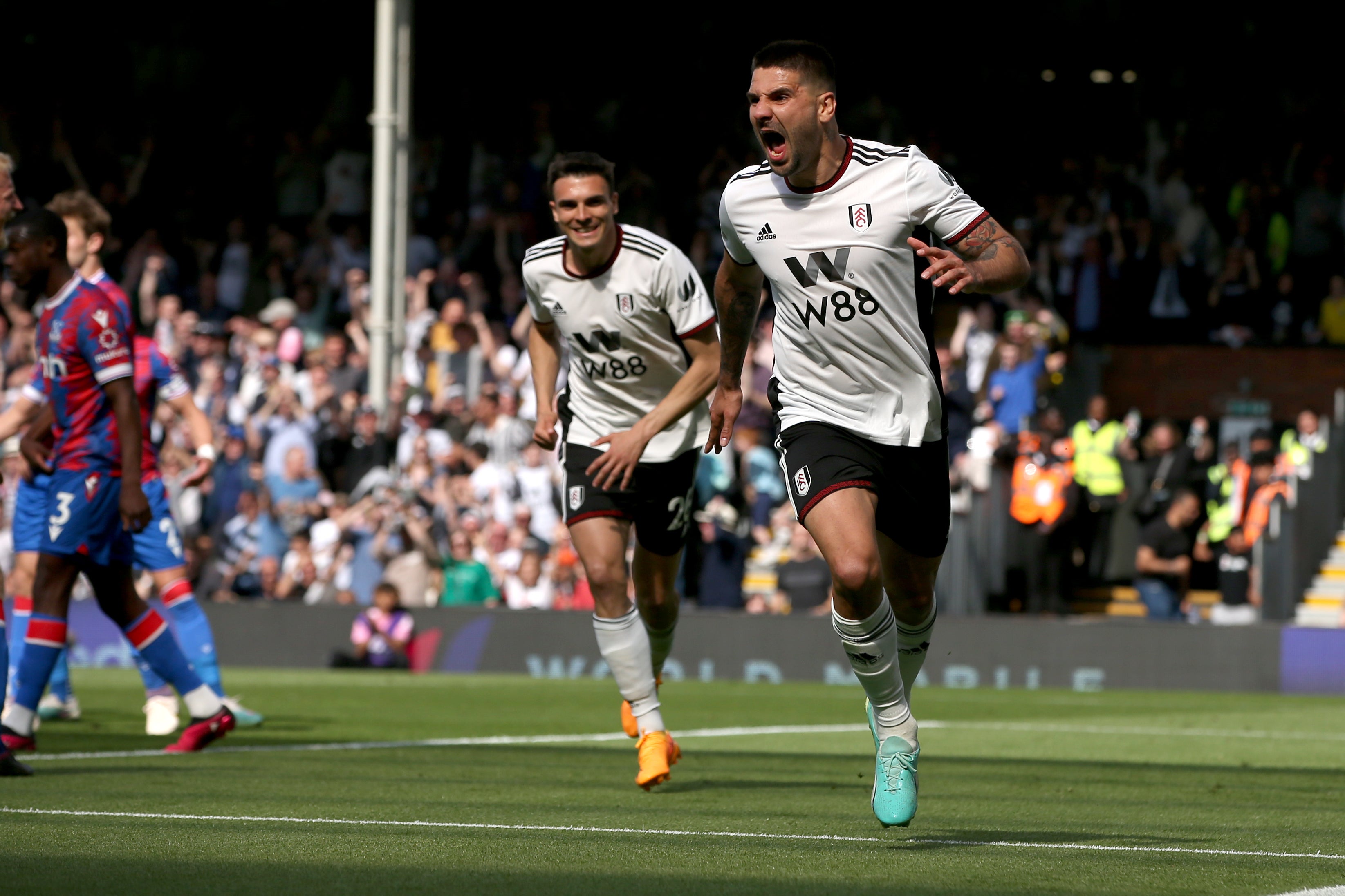 Aleksandar Mitrovic has left Fulham