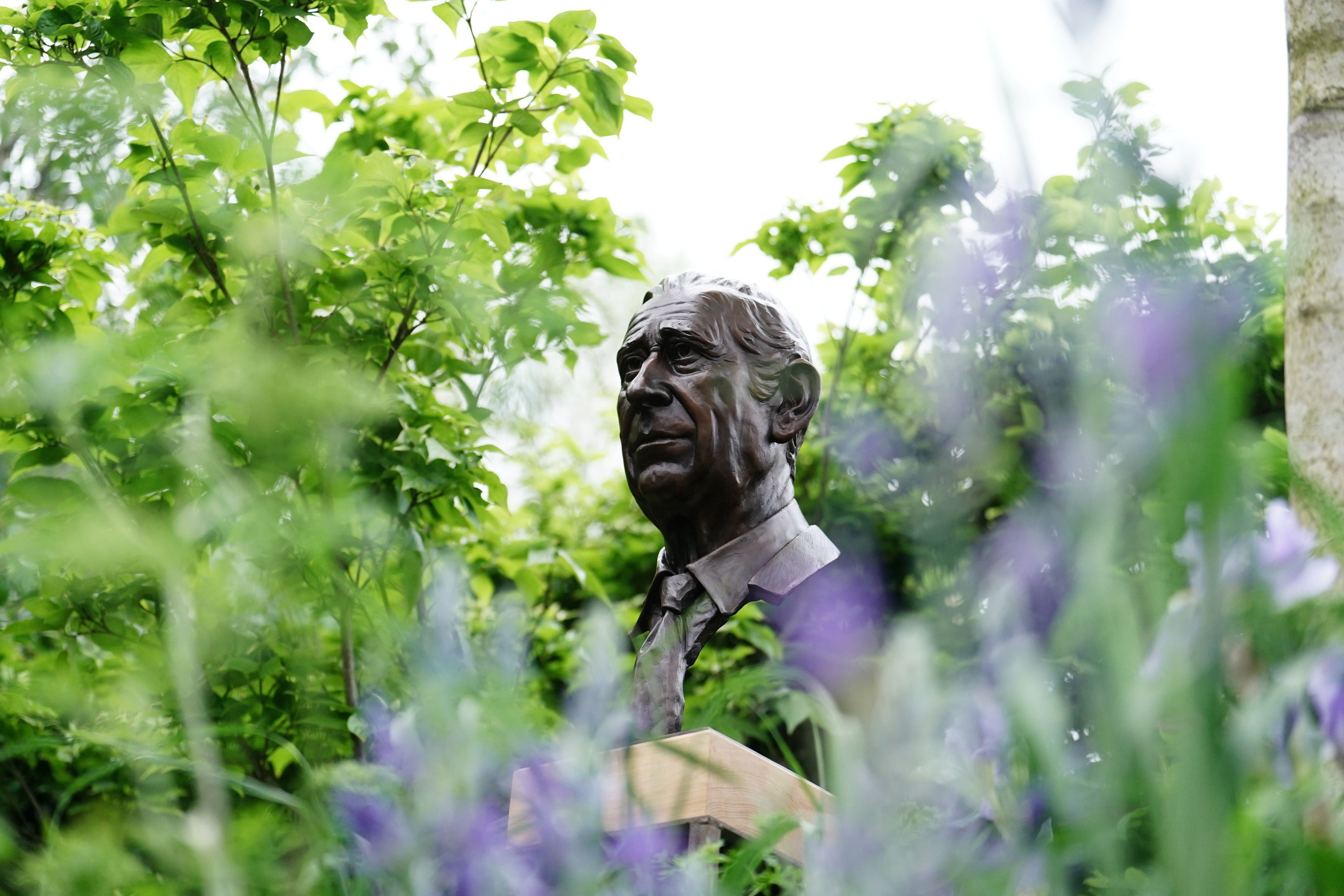 A bust of King Charles III featured in the RHS Royal Tribute garden during the RHS Chelsea Flower Show press day, at the Royal Hospital Chelsea, London