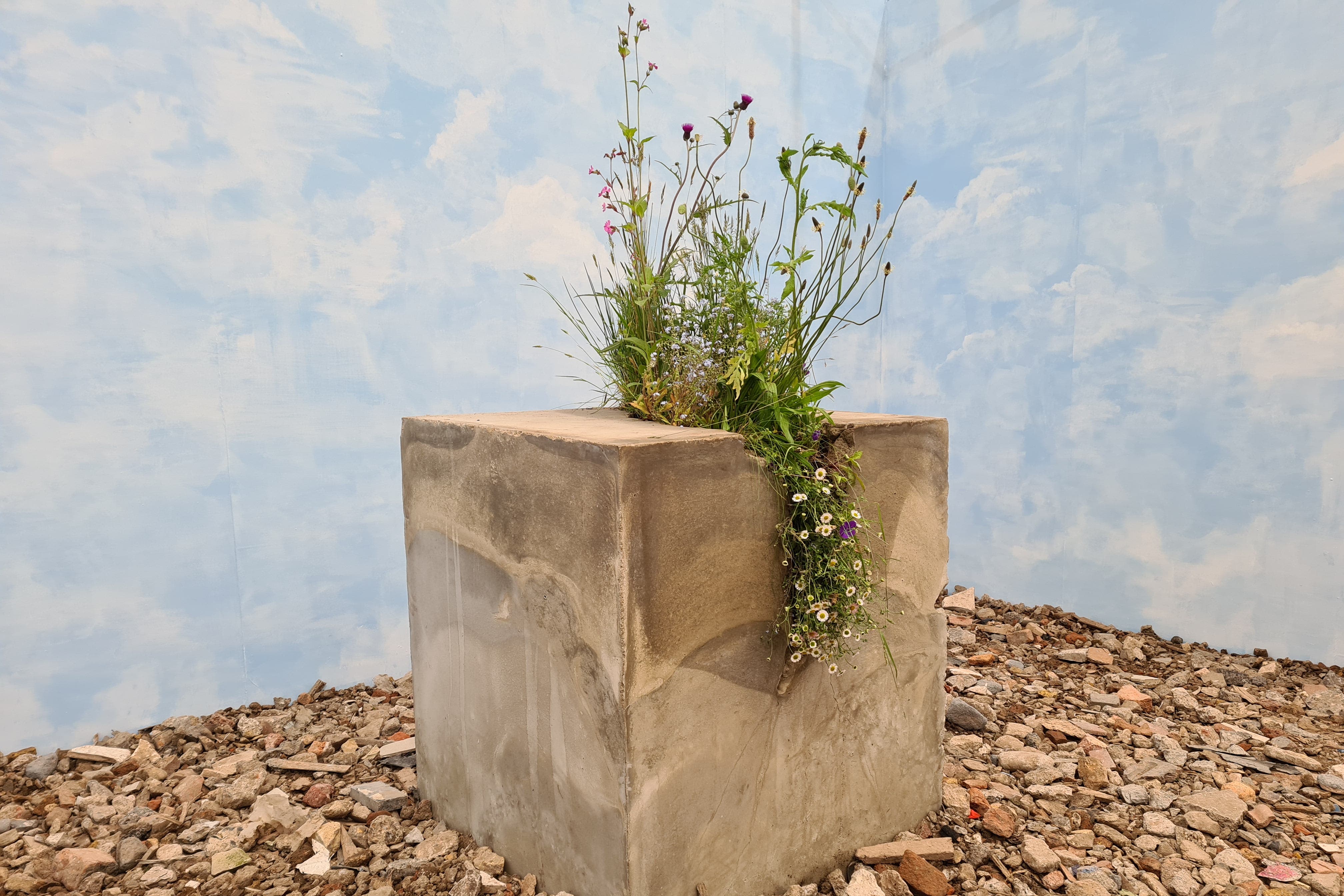 Dandelion, thyme and chamomile sprout from a concrete slab which represents the lack of access to green space for Kensington residents (Danny Halpin/PA)