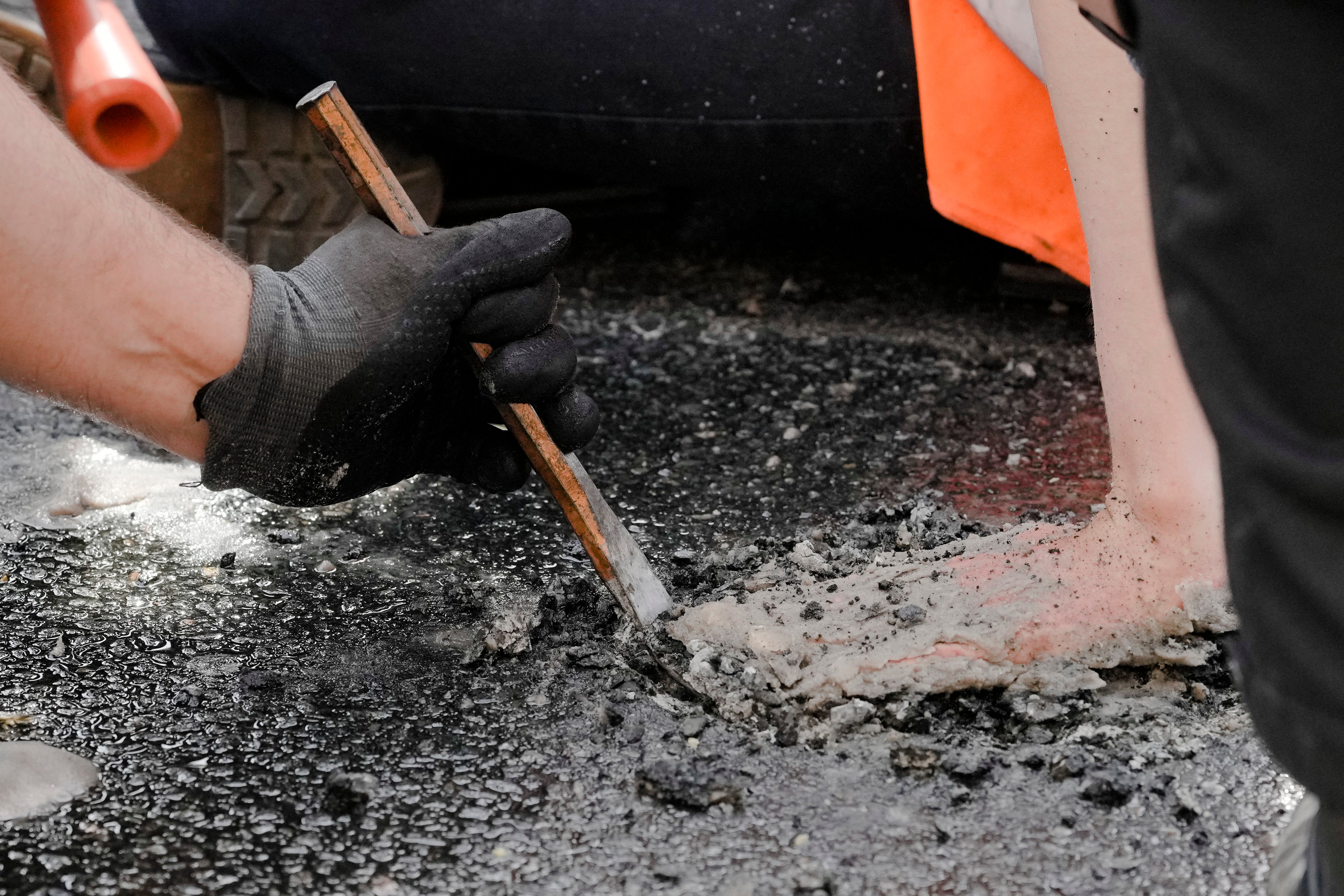 Germany Climate Protest