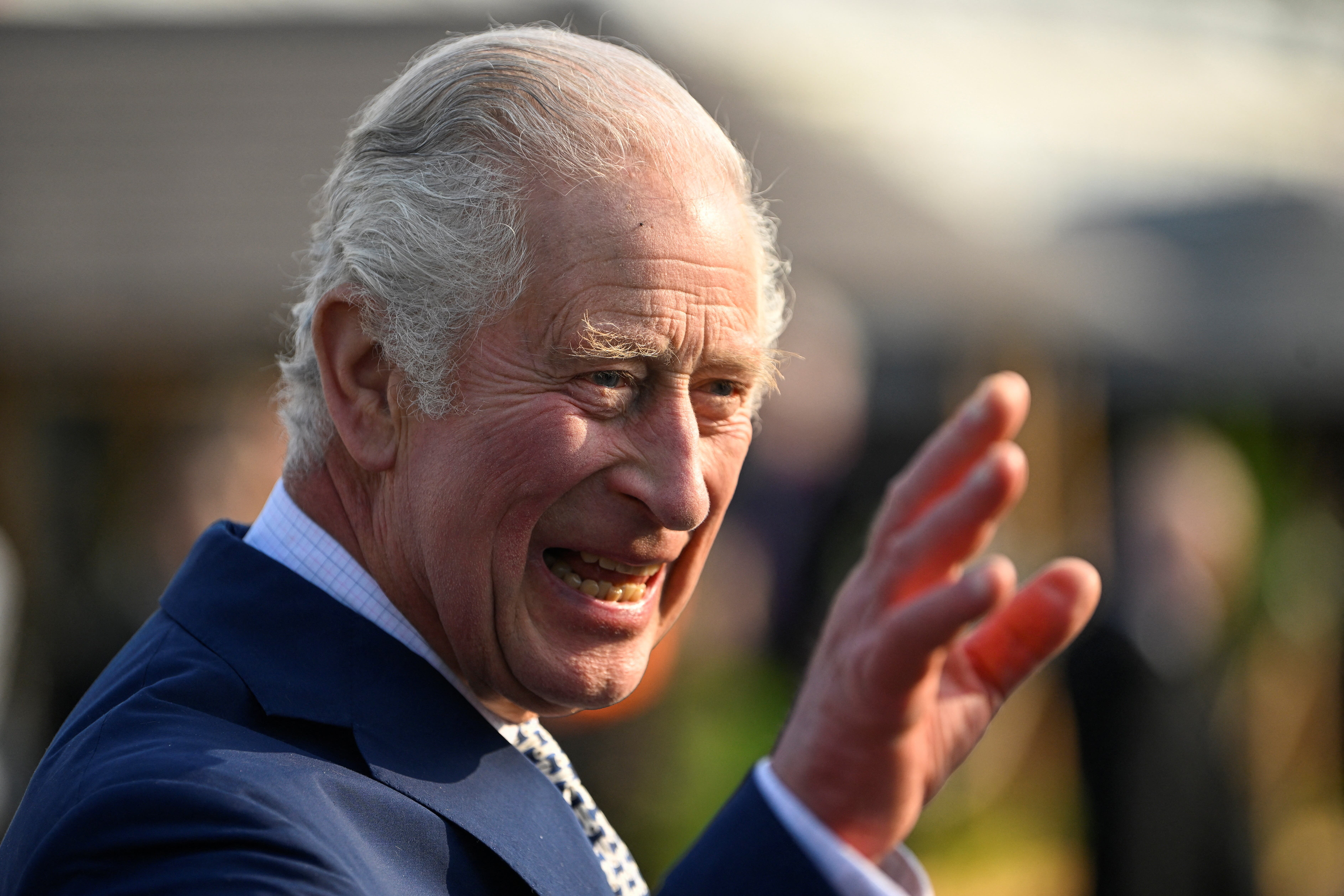 The King during a visit to the RHS Chelsea Flower (Toby Melville/PA)