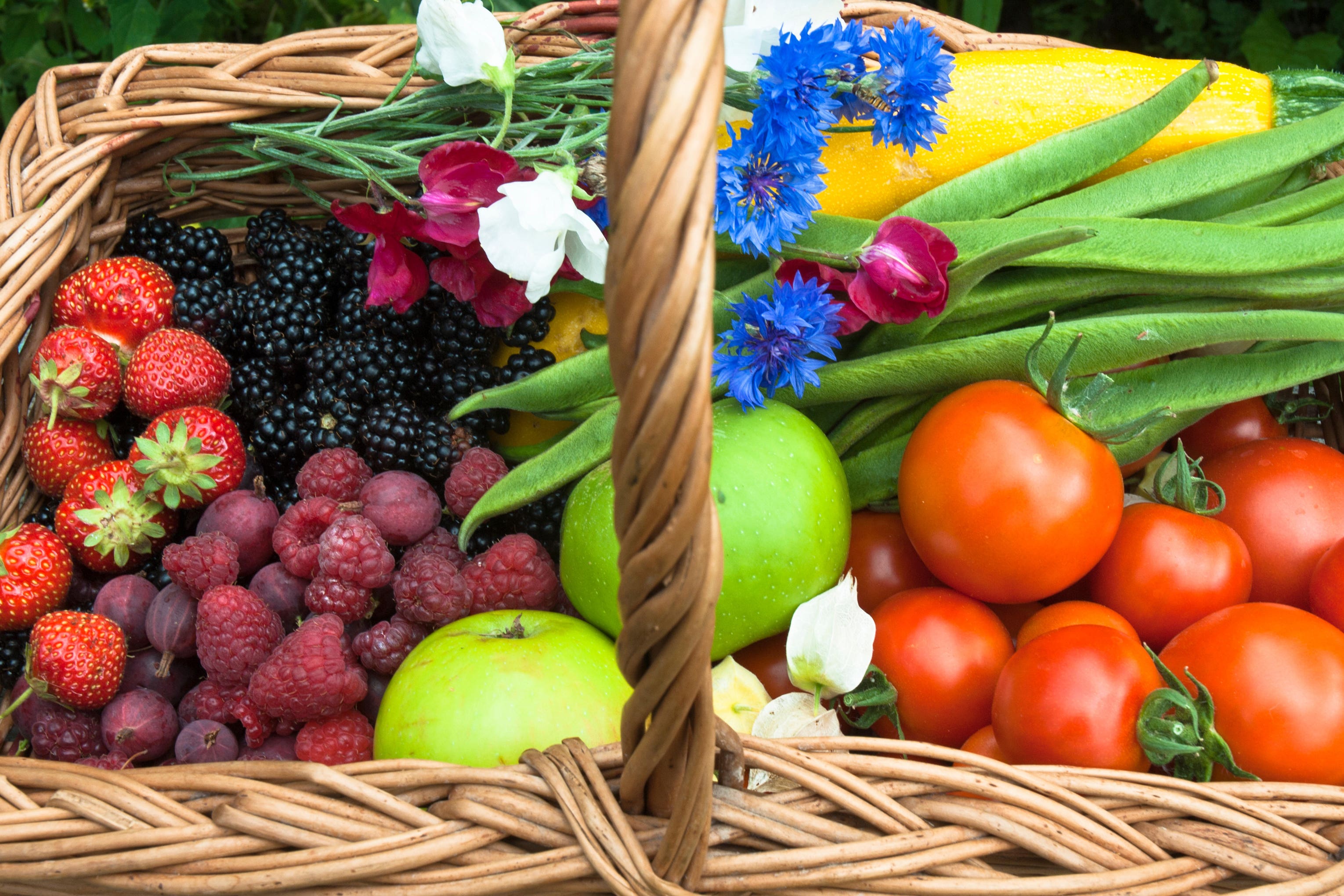 Nurture a vibrant patch that is as beautiful as it is bountiful (Alamy/PA)