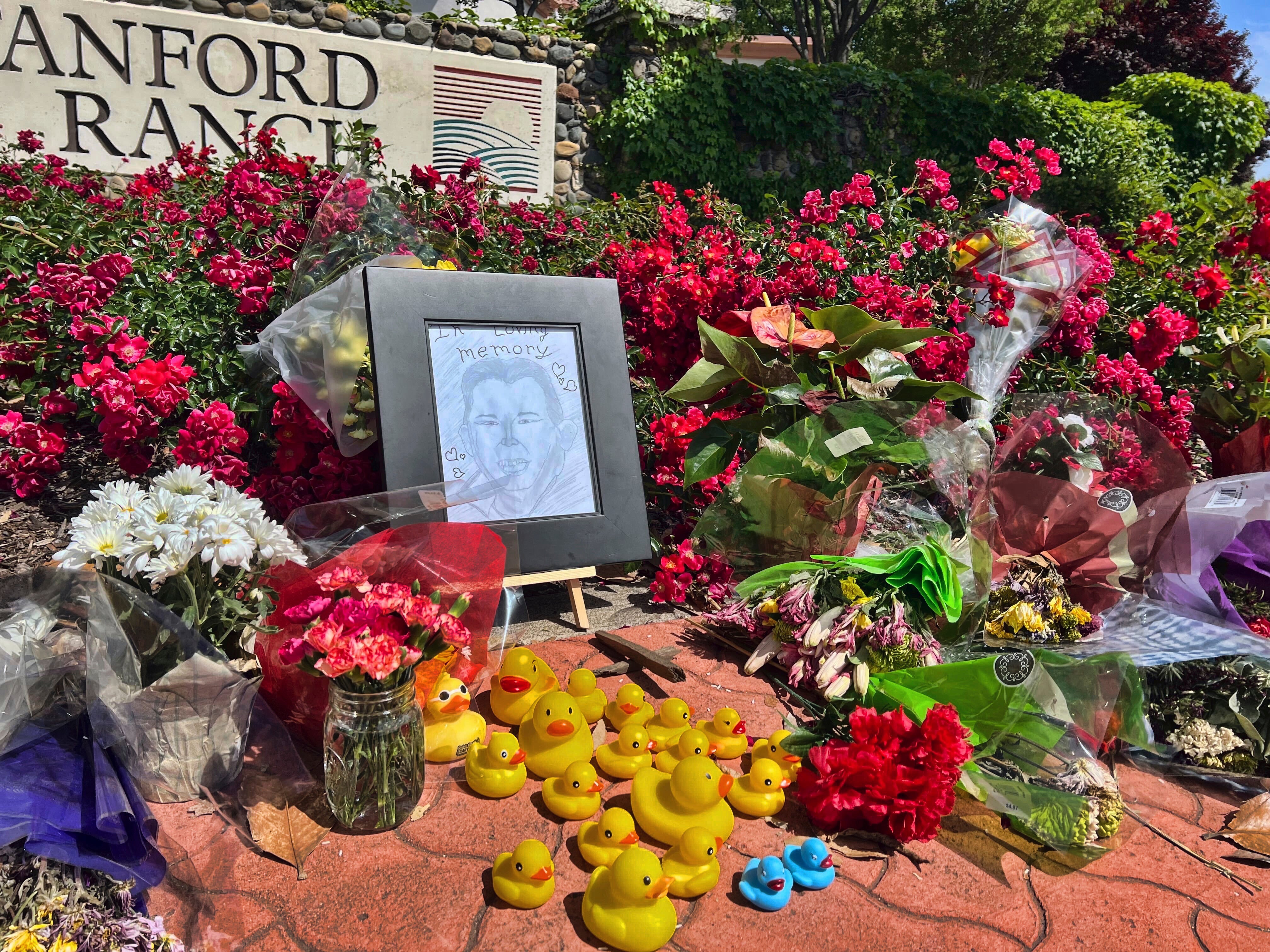 Ducklings Cross Road Man Killed