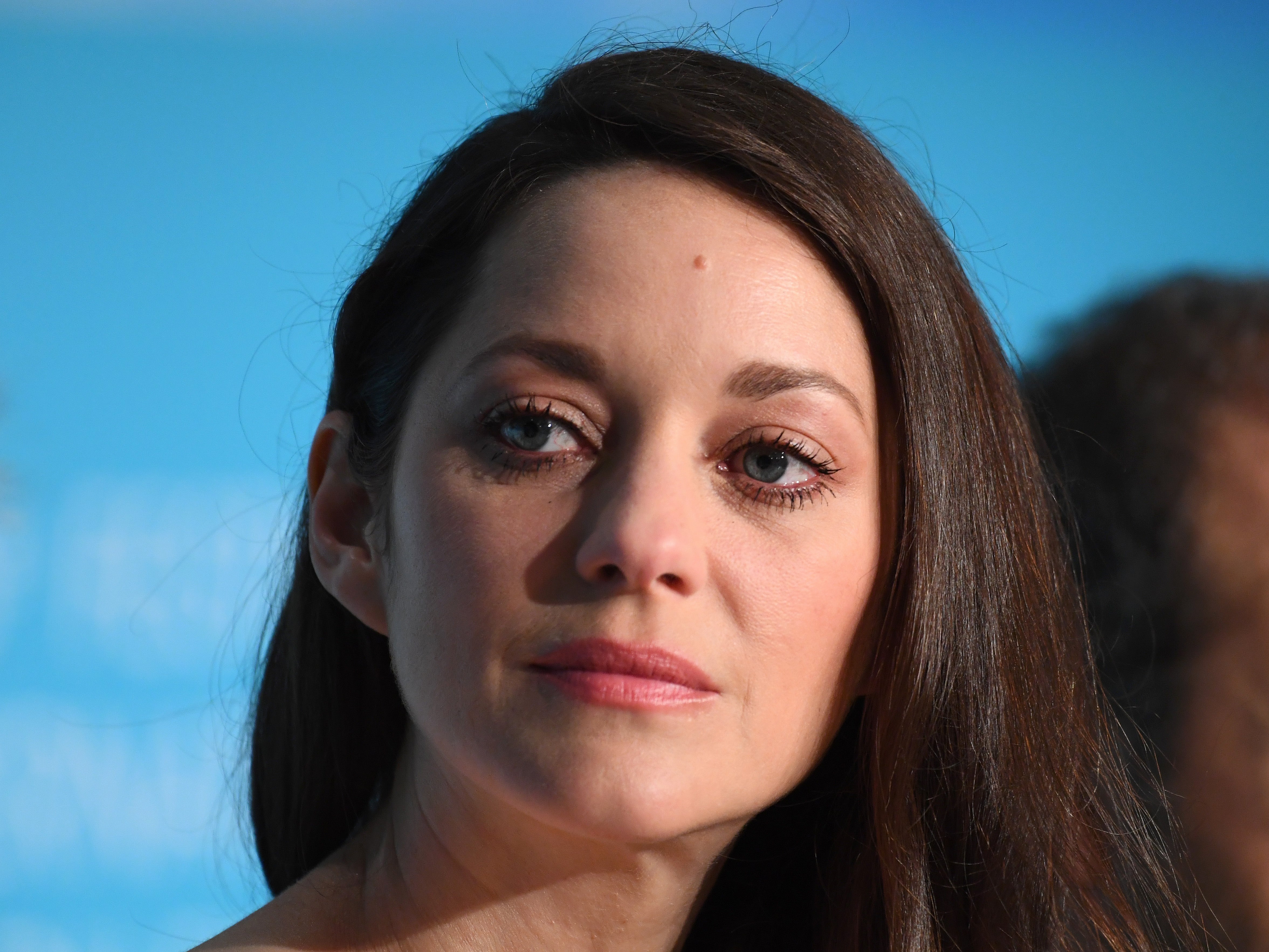 Marion Cotillard