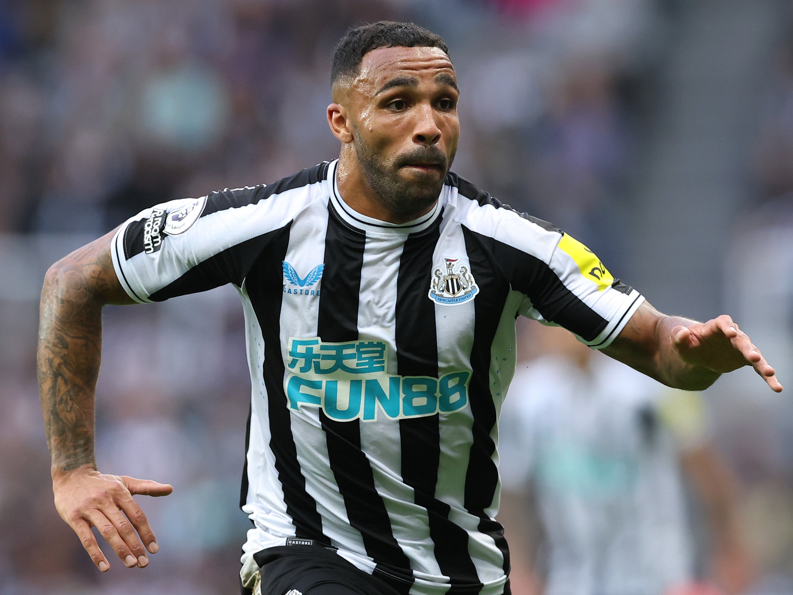 Newcastle striker Callum Wilson