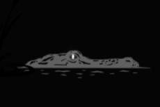 DeSantis campaign site logo mocked as he enters presidential race: ‘Biggest communications blunder’