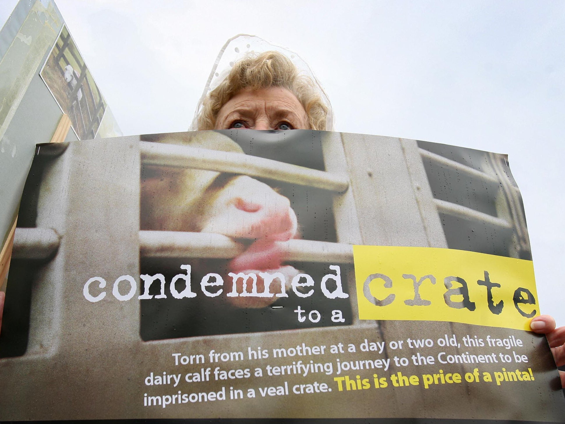 Protests against live exports have been held in Dover since 1989