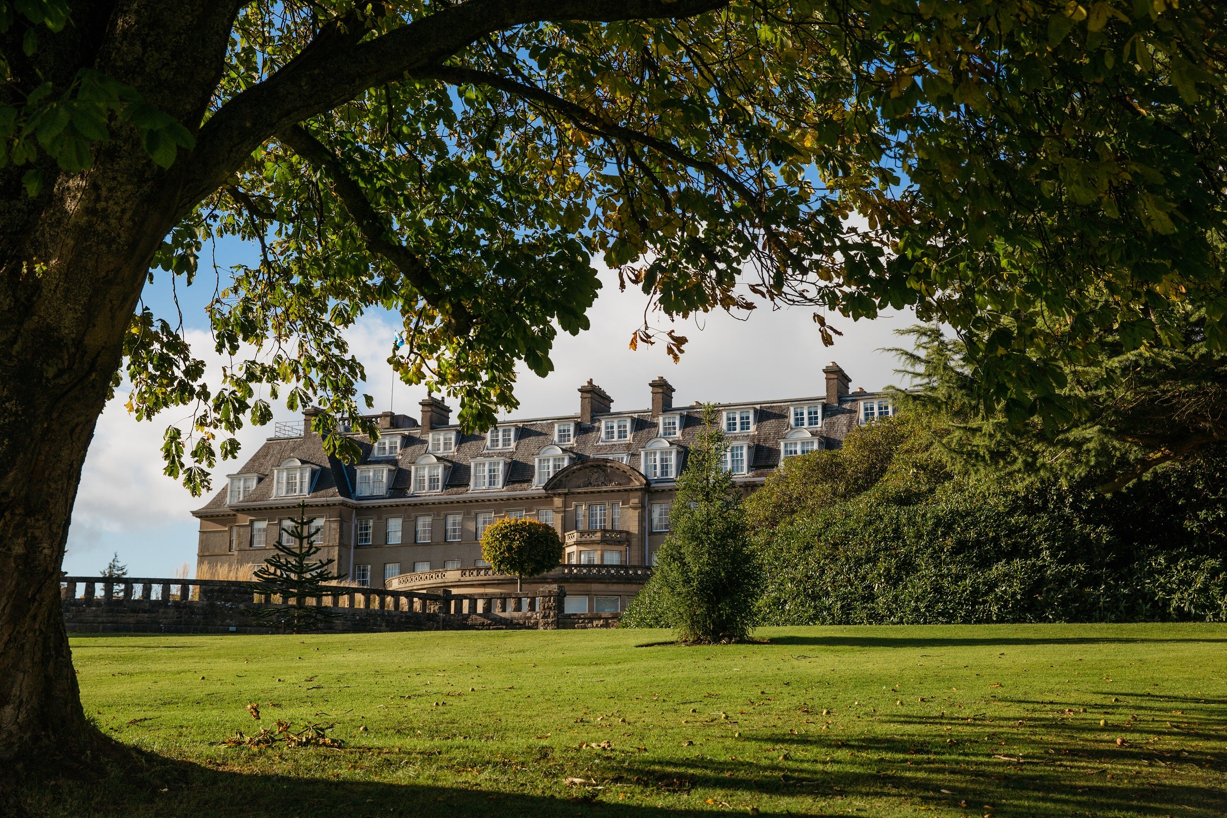 Dogs will love roaming the grounds of this luxurious hotel