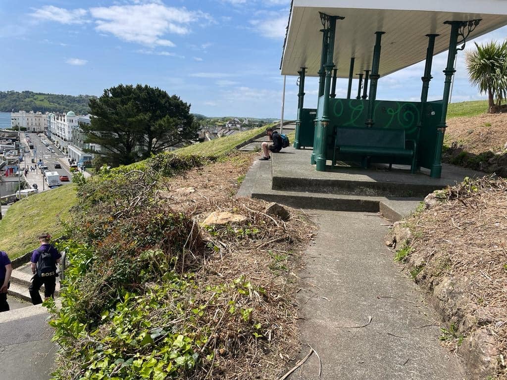 The removal of the vegetation has sparked anger among local residents