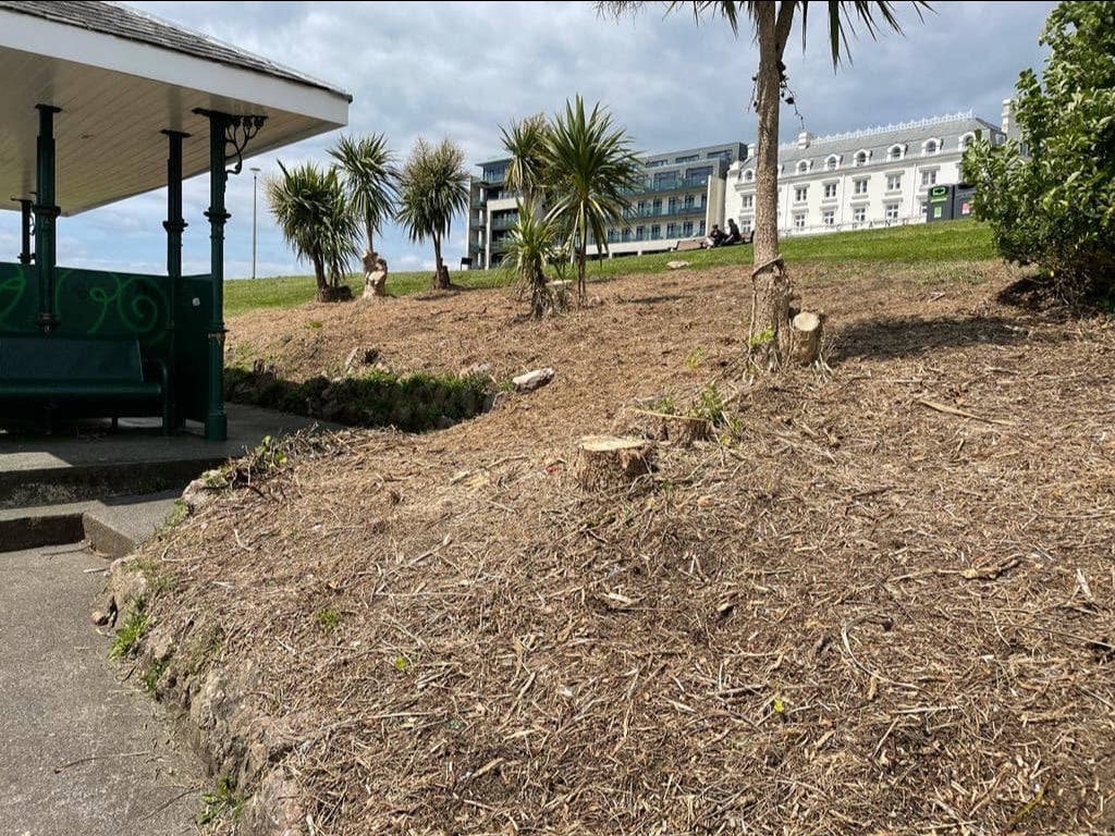 The council said it had ‘removed large shrubs, including cabbage palms’ surrounding the Belvedere shelter