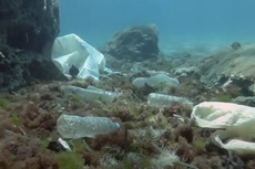 World’s first ‘plastic forecast’ predicts microplastics downpour in Paris