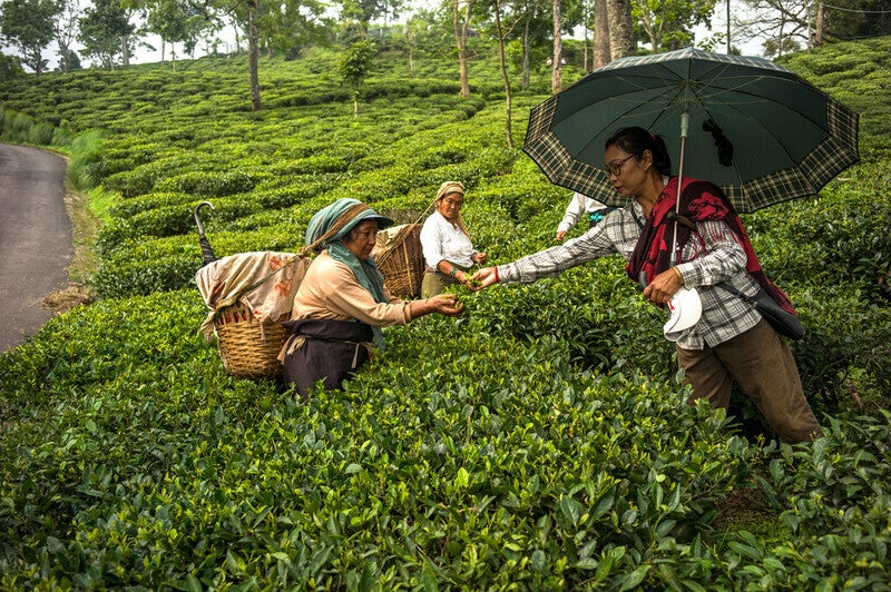 In agricultural industries, women make up a large part of the workforce, covering difficult terrains and vast acres of land, which makes access to toilet and hygiene facilities challenging