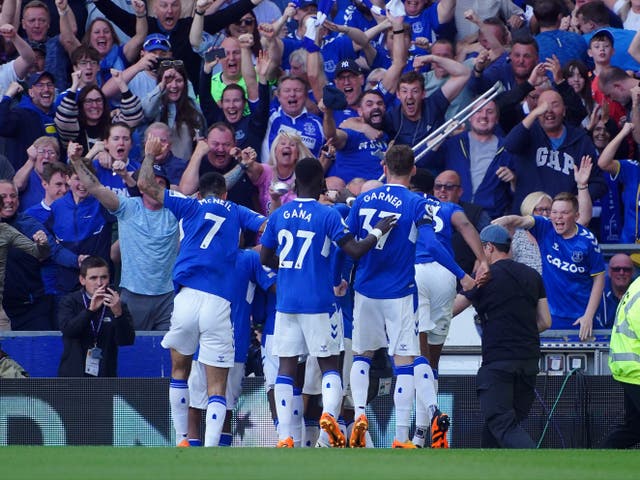 <p>The team and fans celebrate as Everton go ahead </p>