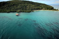 Crocodile attacks man snorkelling off exclusive island resort in Australia