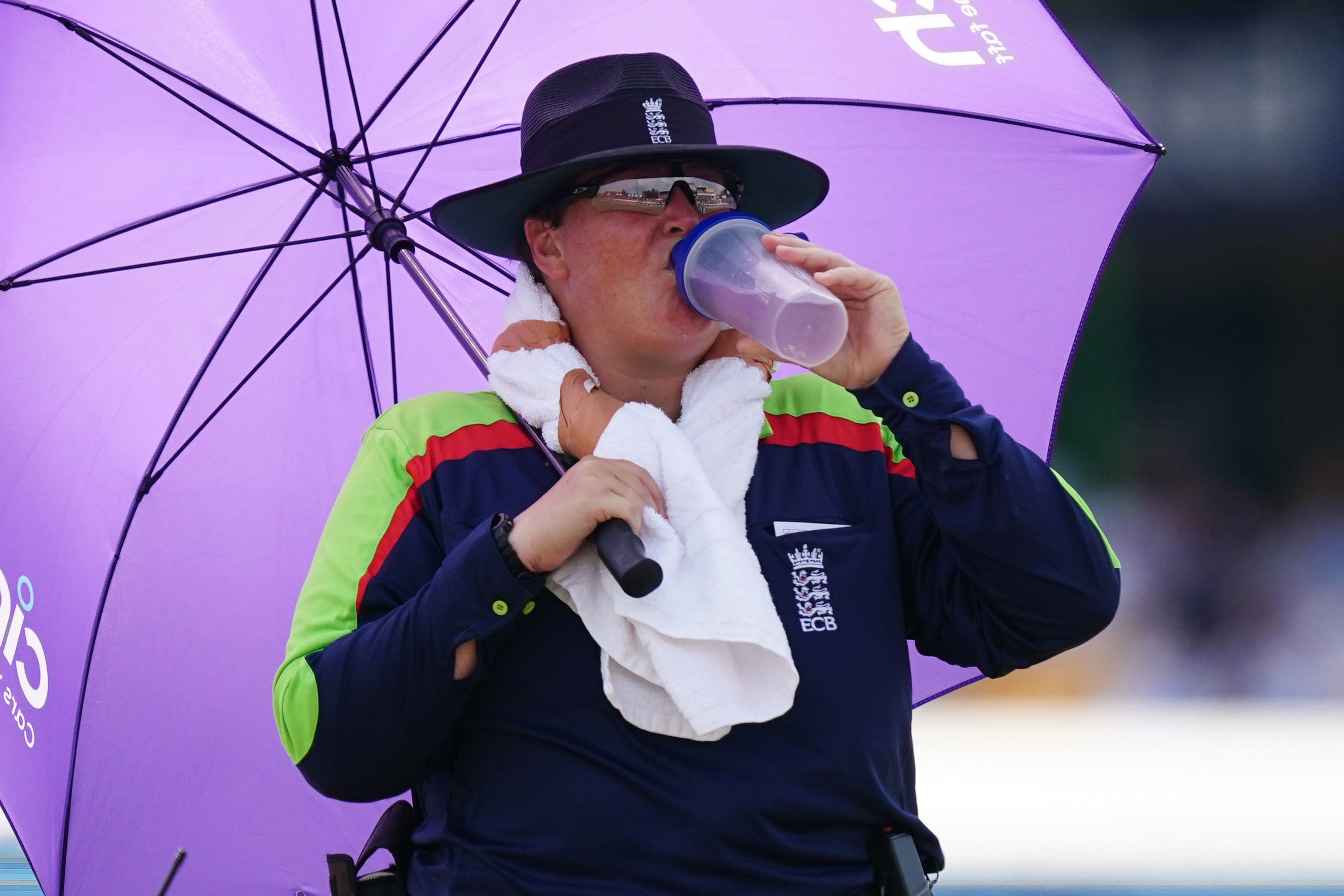 Umpire Sue Redfern will become the first female to stand as an on-field official in a Vitality Blast match on Sunday (Mike Egerton/PA)