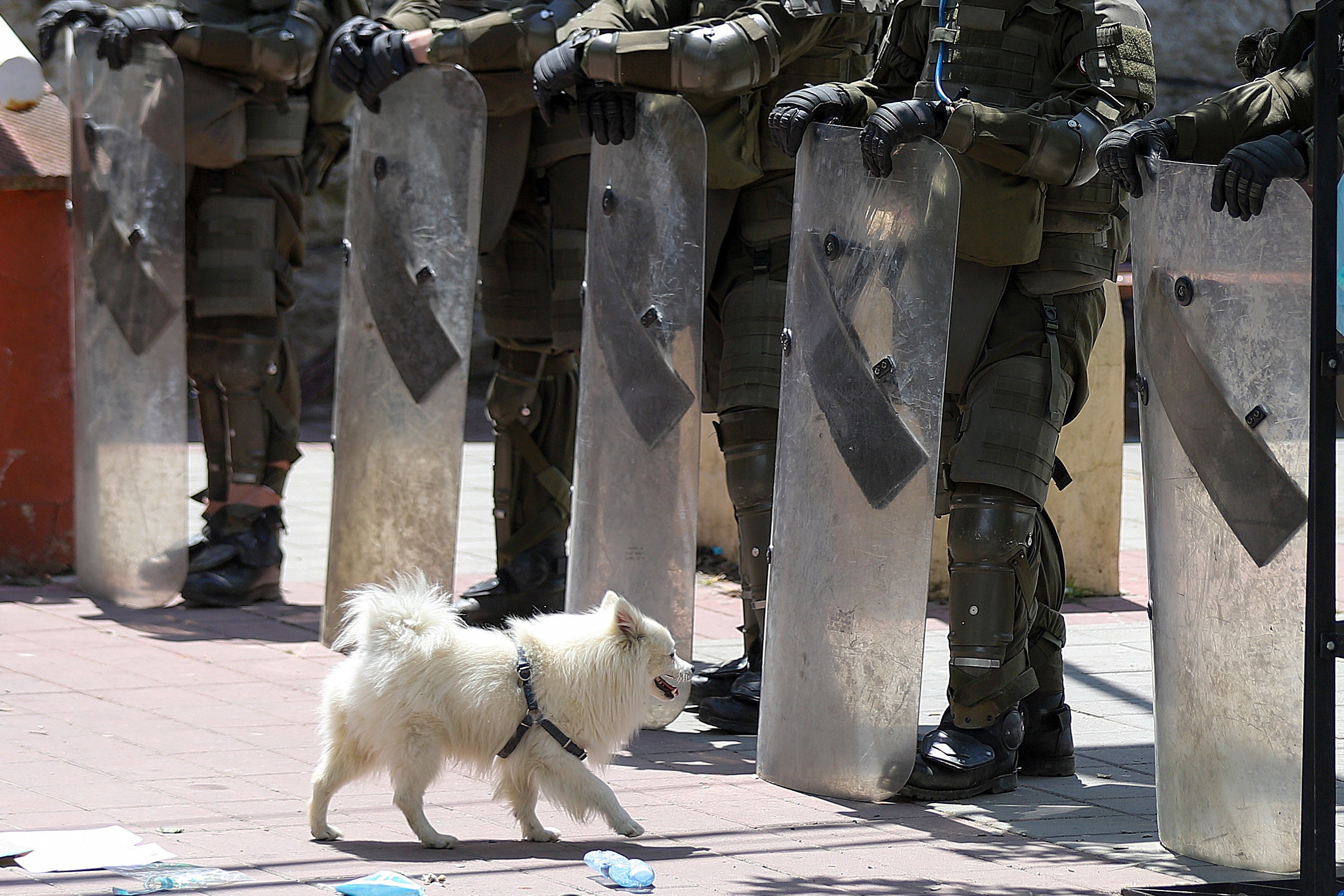 Kosovo Serbs Clashes