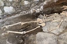 Pompeii: Three new skeletons discovered in ruins from 79 AD eruption