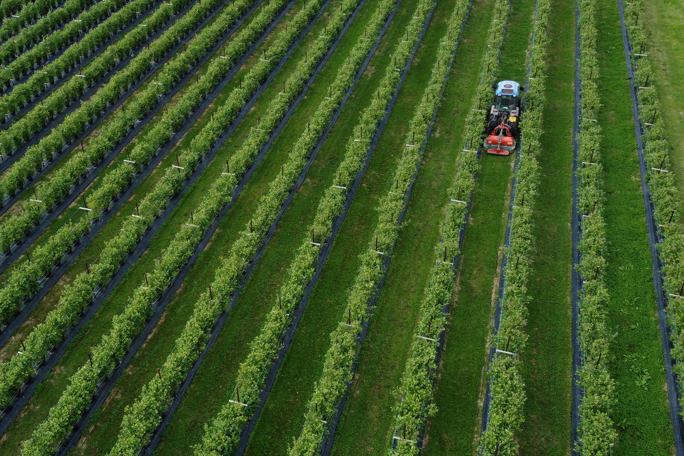 Farmers, undertakers and elected representatives are among the occupations with the highest proportion of elderly workers, new figures suggest (Gareth Fuller/PA)