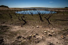 Government ‘must stop cutting public budgets and prepare for extreme heat’