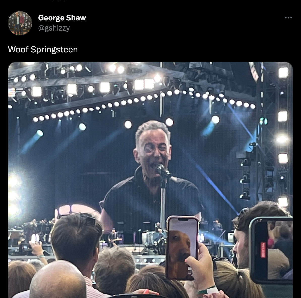 Bruce springsteen fan FaceTimes dog during Edinburgh show