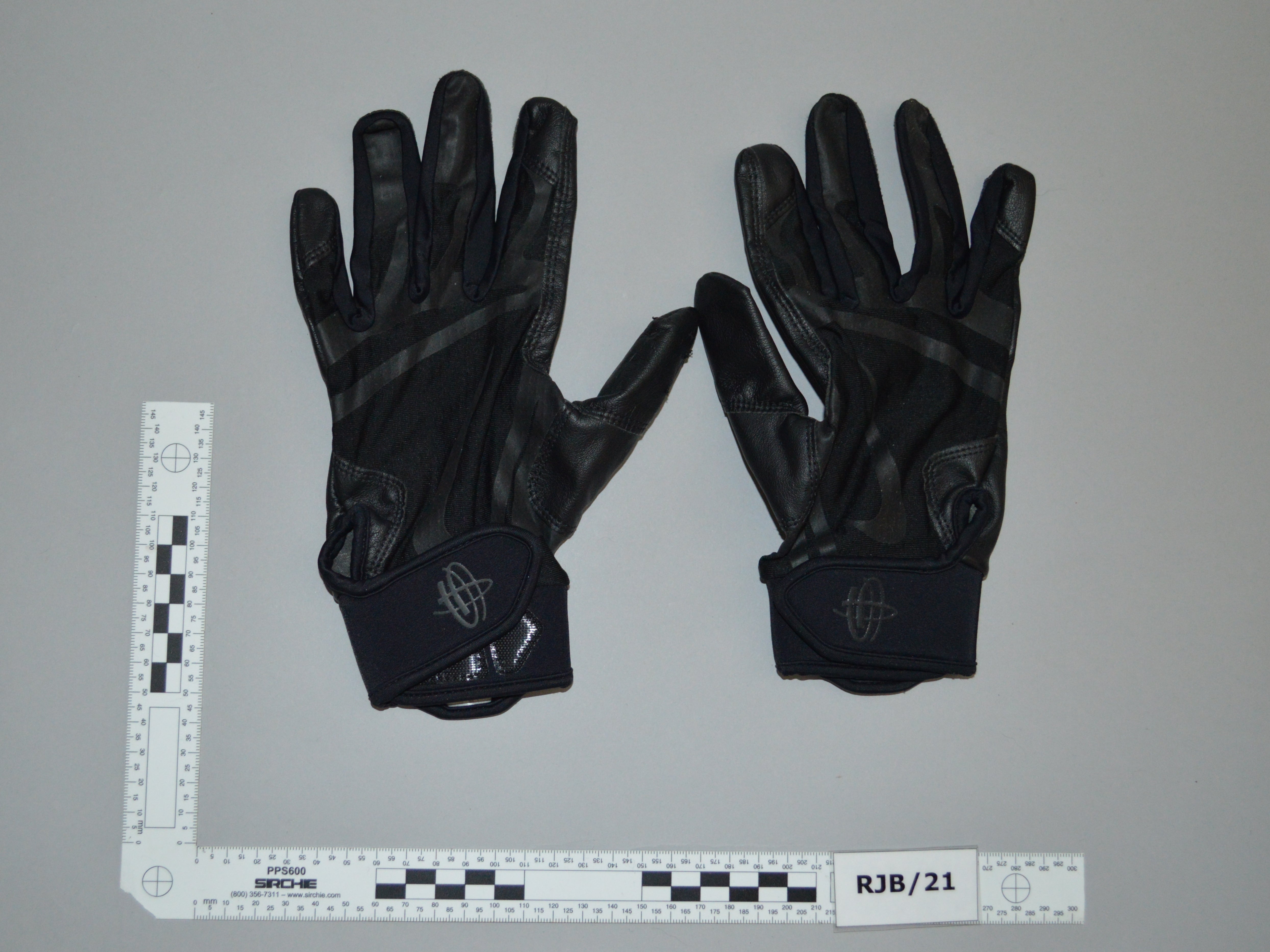 ‘Tactical gloves’ purchased by King